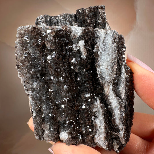 Crystallized Fossil Wood with Smoky Quartz Druzy, 383g — Arizona