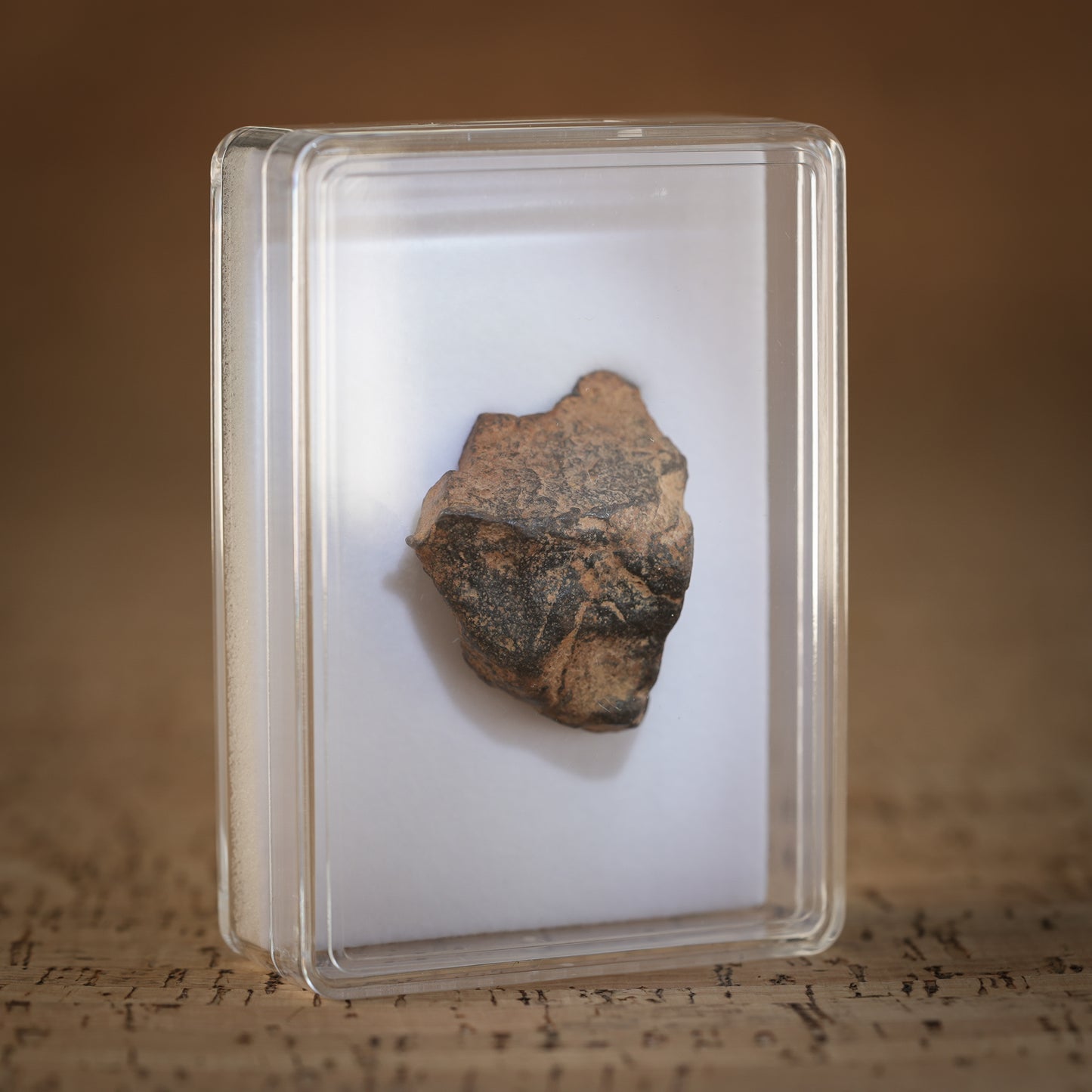 43.3g Gibeon Meteorite with Desert Patina, Namibia, Africa. Includes Collectors Display Box with COA.