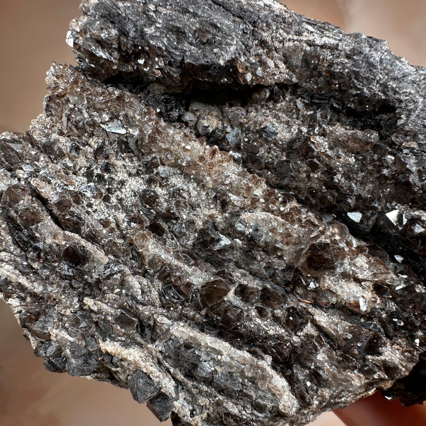 Crystallized Fossil Wood with Smoky Quartz Druzy, 347g — Arizona