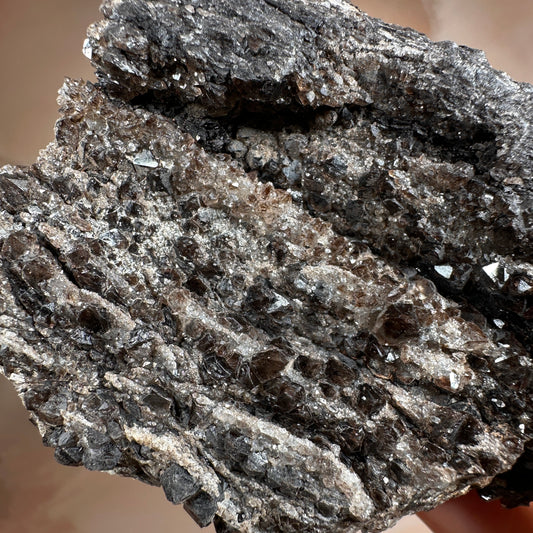 Crystallized Fossil Wood with Smoky Quartz Druzy, 347g — Arizona