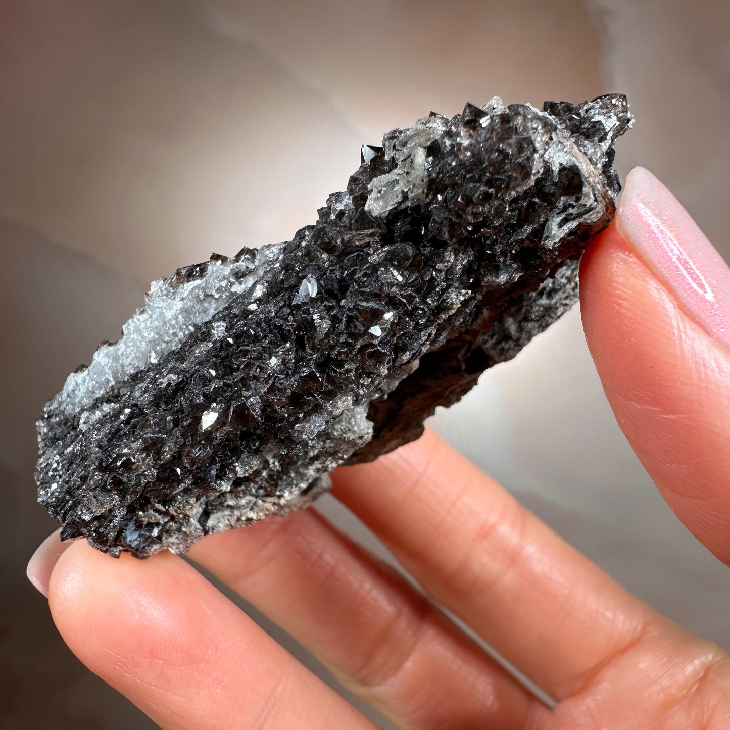 Crystallized Fossil Wood with Smoky Quartz Druzy, 59g — Arizona