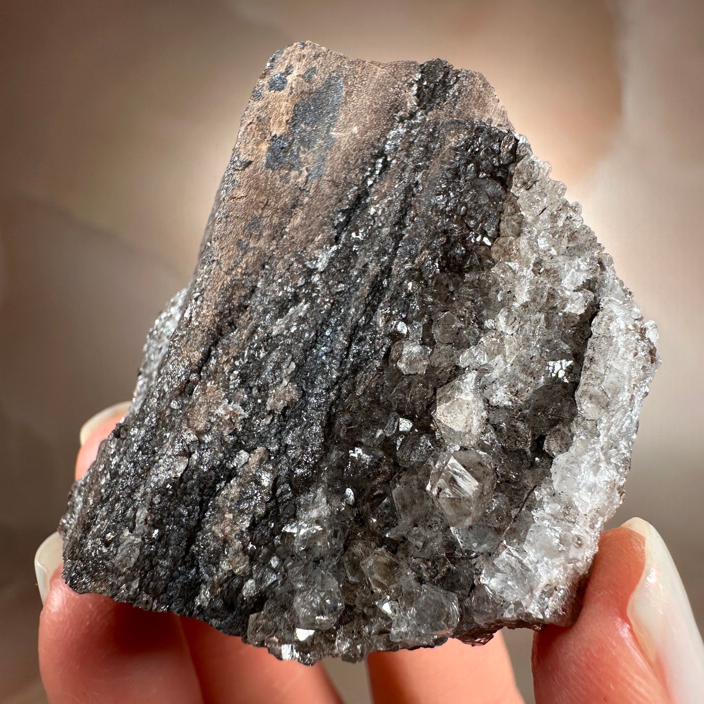 Crystallized Fossil Wood with Smoky Quartz Druzy, 65g | Arizona