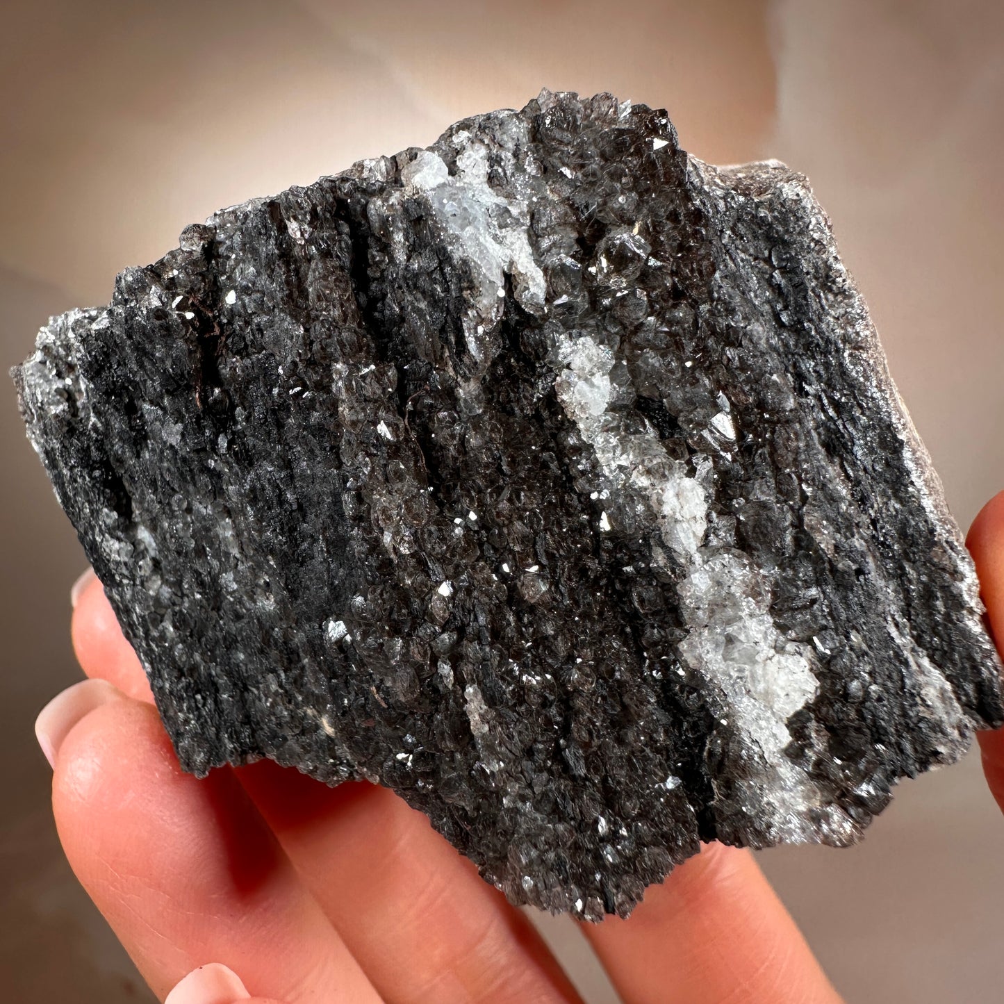 Crystallized Fossil Wood with Smoky Quartz Druzy, 154g — Arizona