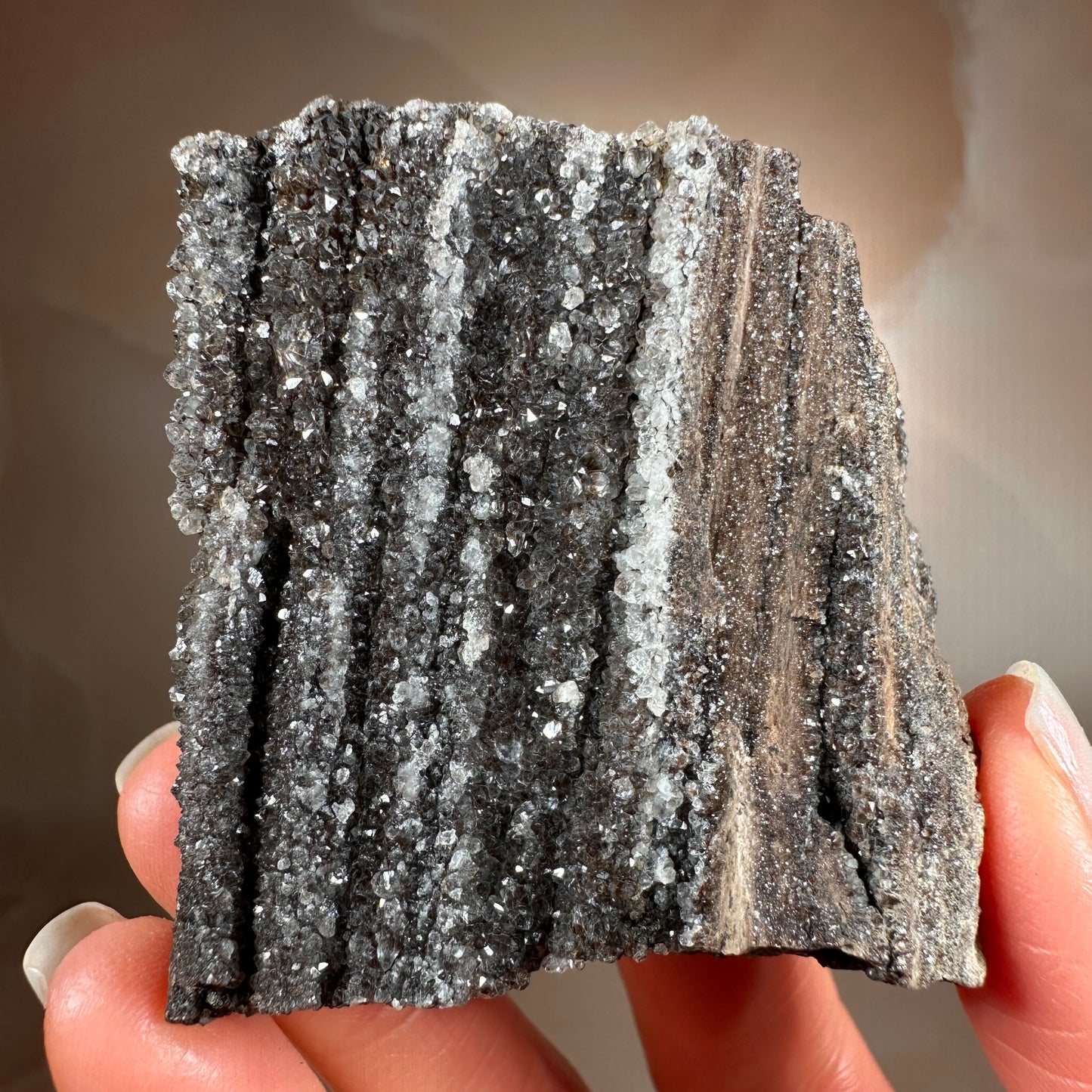 Crystallized Fossil Wood with Smoky Quartz Druzy, 86g | Arizona