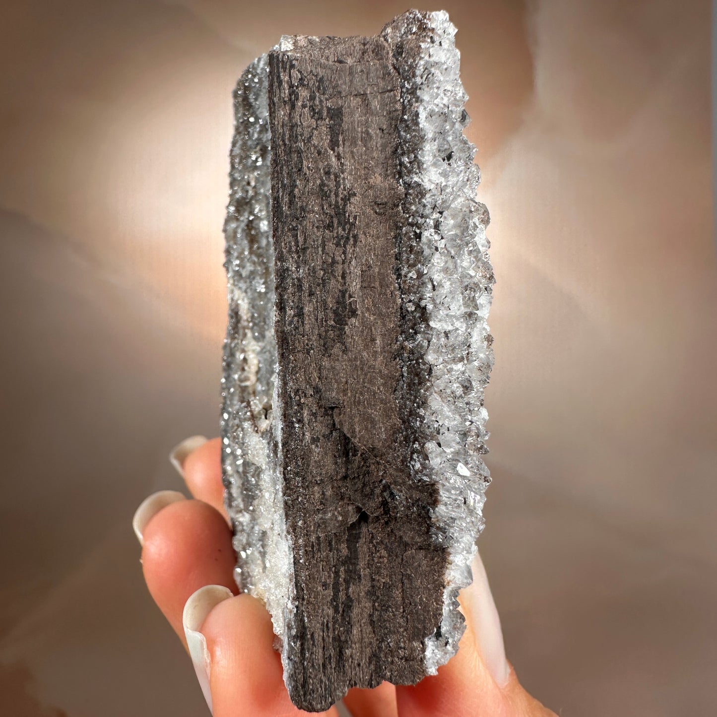 Crystallized Fossil Wood with Silver Smoky Quartz Druzy, 104g | Arizona