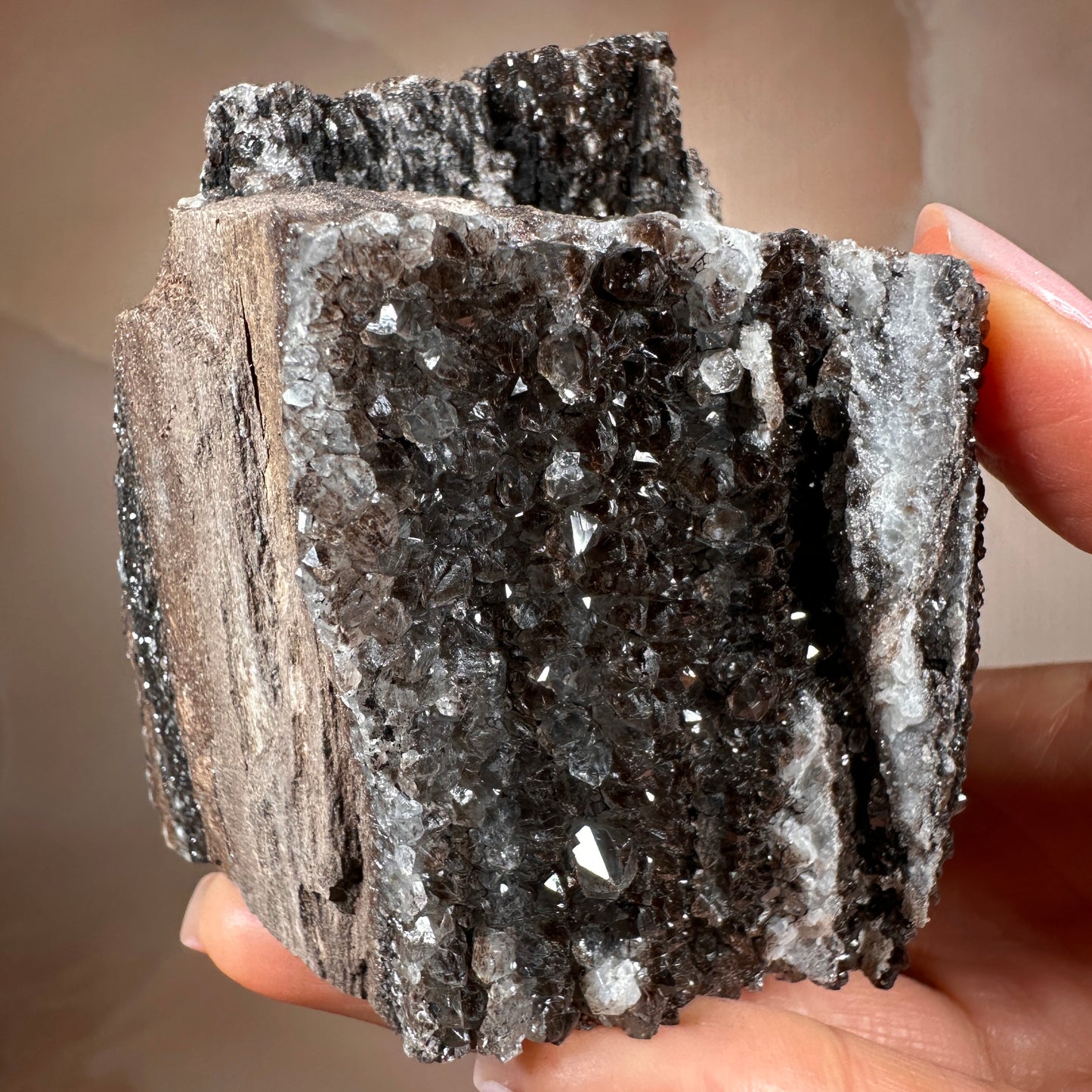 Crystallized Fossil Wood with Smoky Quartz Druzy, 383g — Arizona