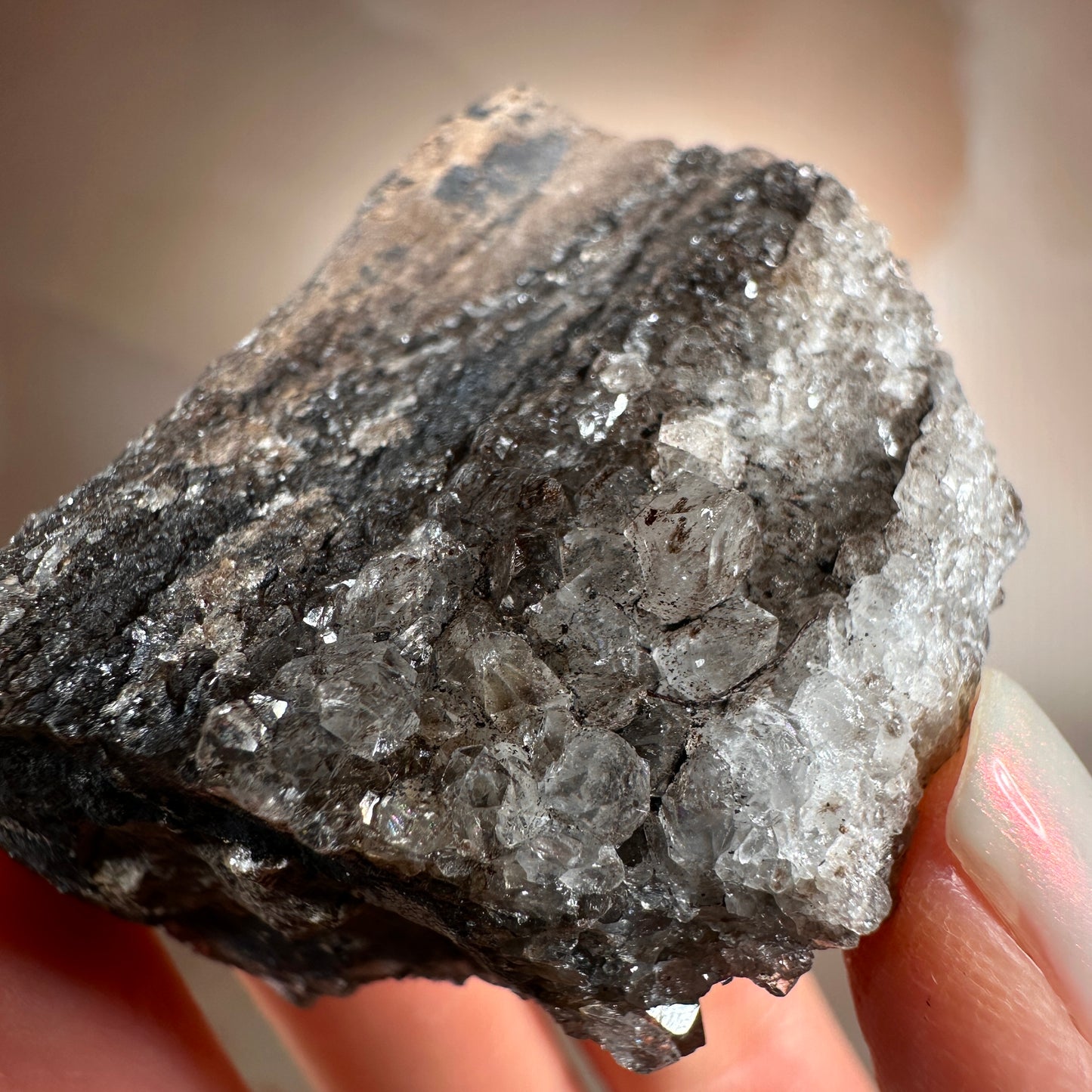 Crystallized Fossil Wood with Smoky Quartz Druzy, 65g | Arizona