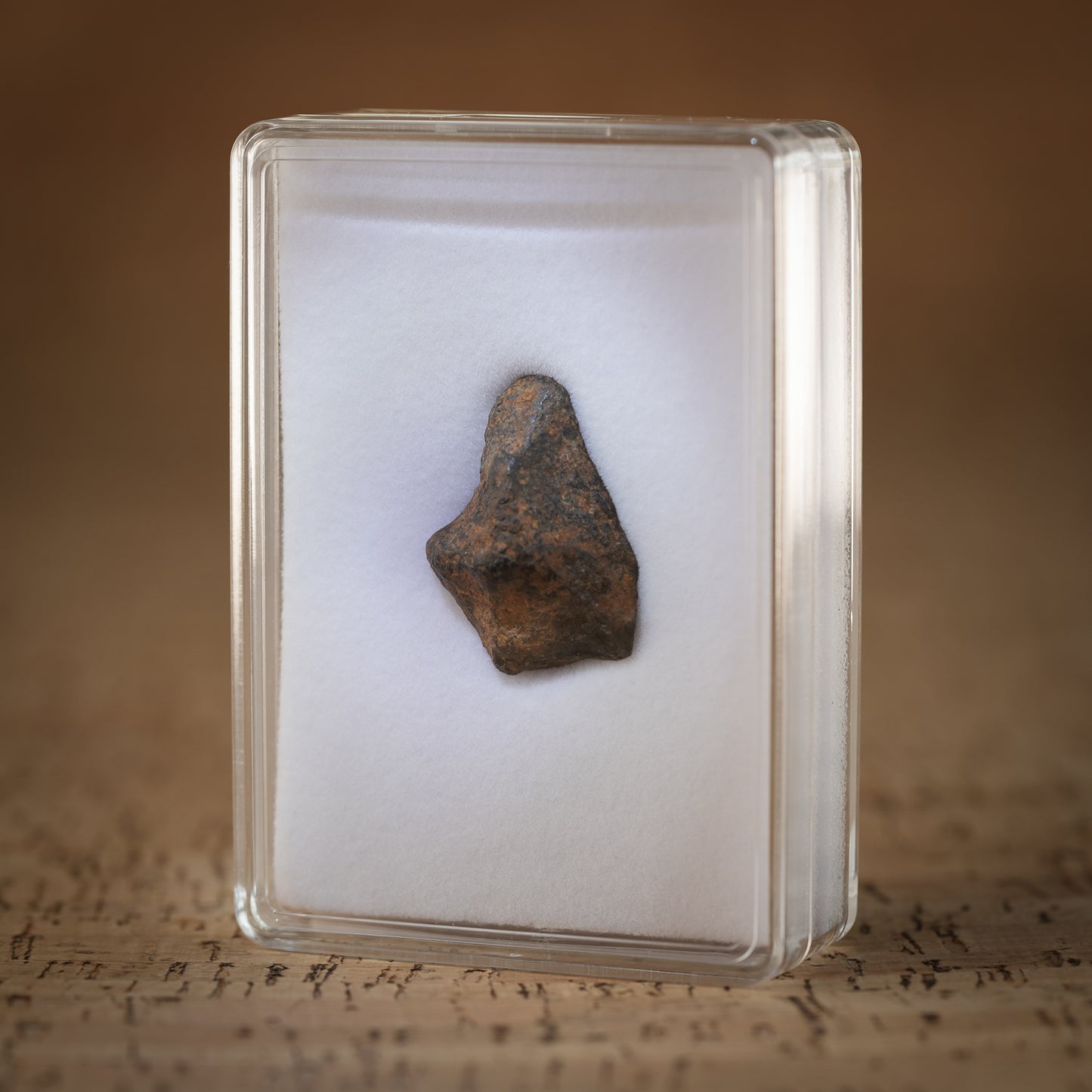 19.4g Gibeon Meteorite with Desert Patina, Namibia, Africa. Includes Collectors Display Box with COA.