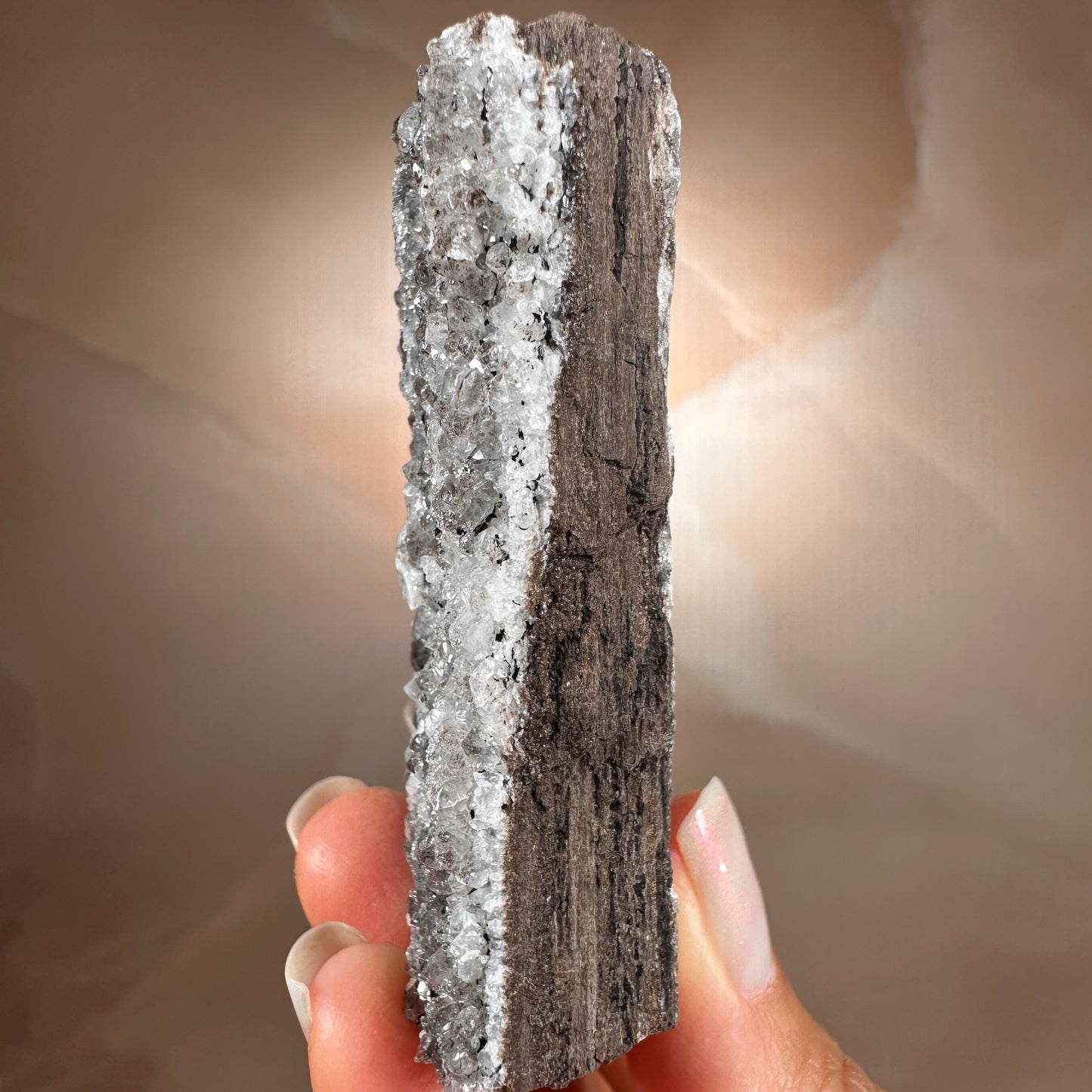 Crystallized Fossil Wood with Silver Smoky Quartz Druzy, 96g | Arizona