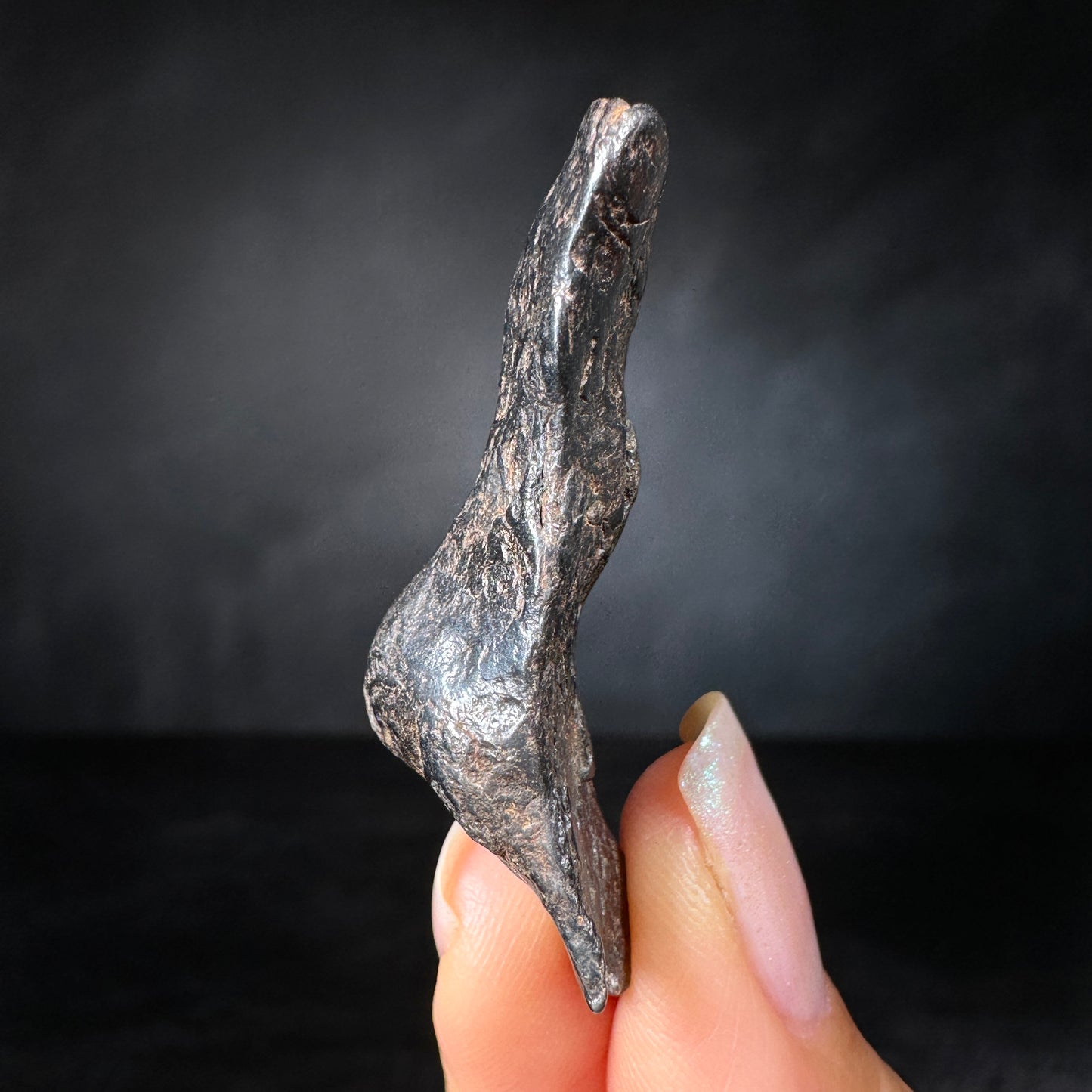 Canyon Diablo Meteorite, 20.7g, Meteor Crater, Arizona