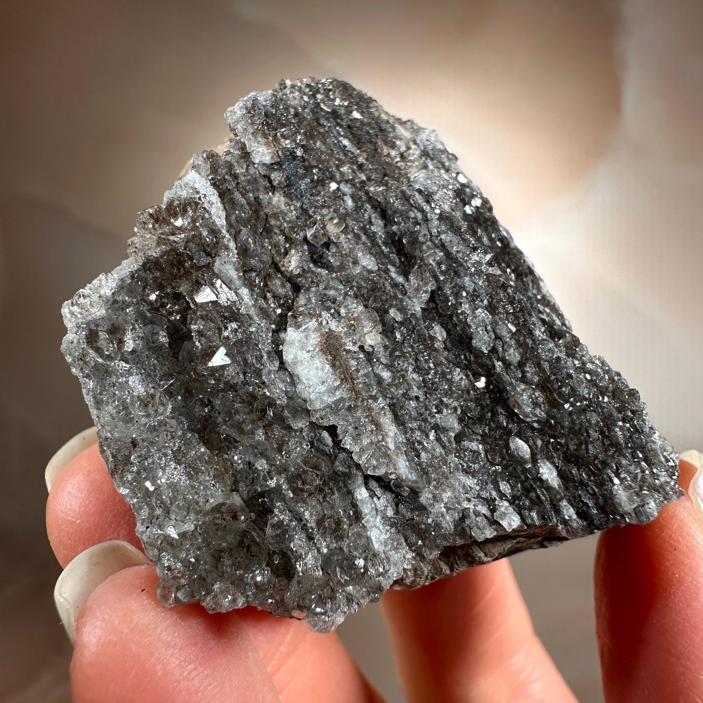 Crystallized Fossil Wood with Smoky Quartz Druzy, 65g | Arizona