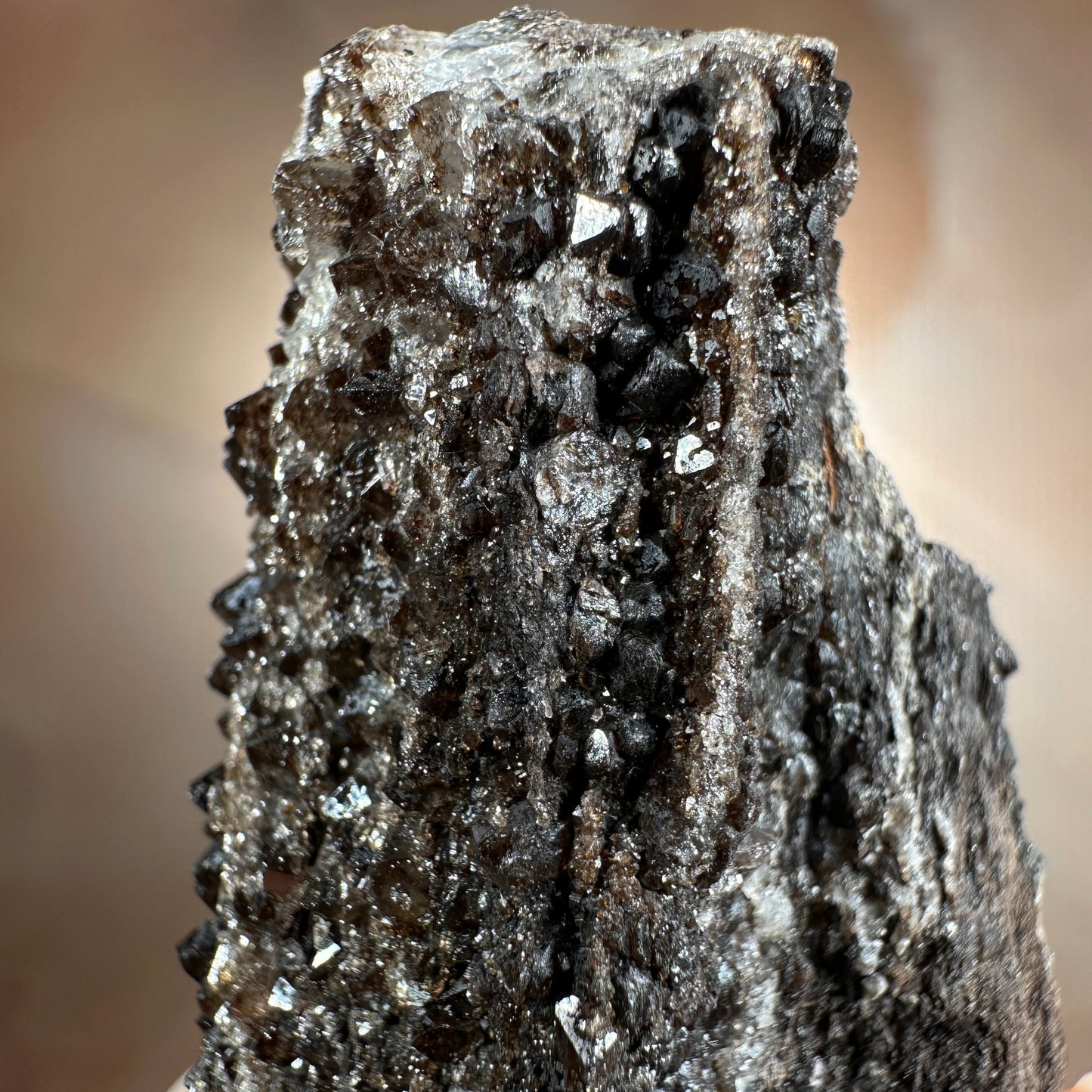 Crystallized Fossil Wood with Smoky Quartz Druzy, 58g | Arizona