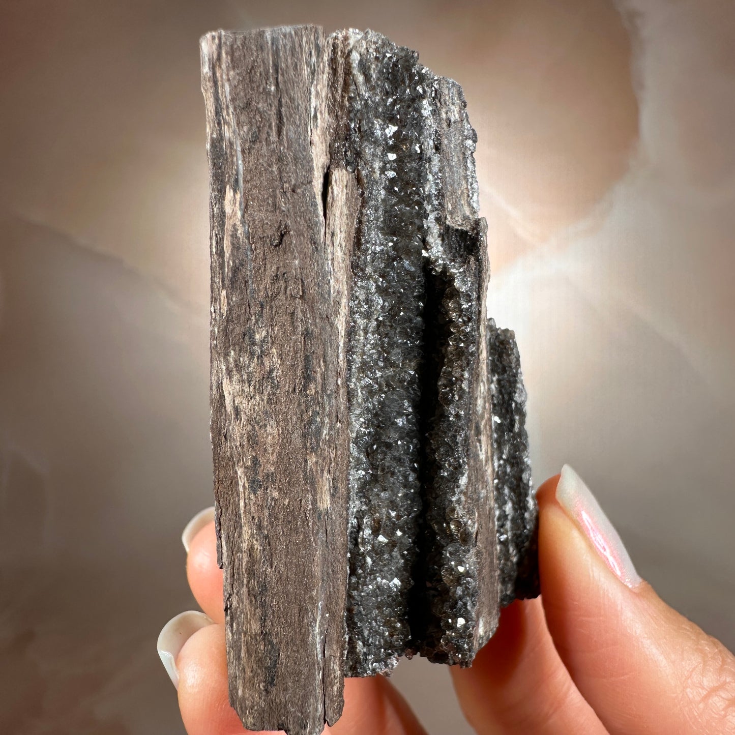 Crystallized Fossil Wood with Smoky Quartz Druzy, 102g | Arizona