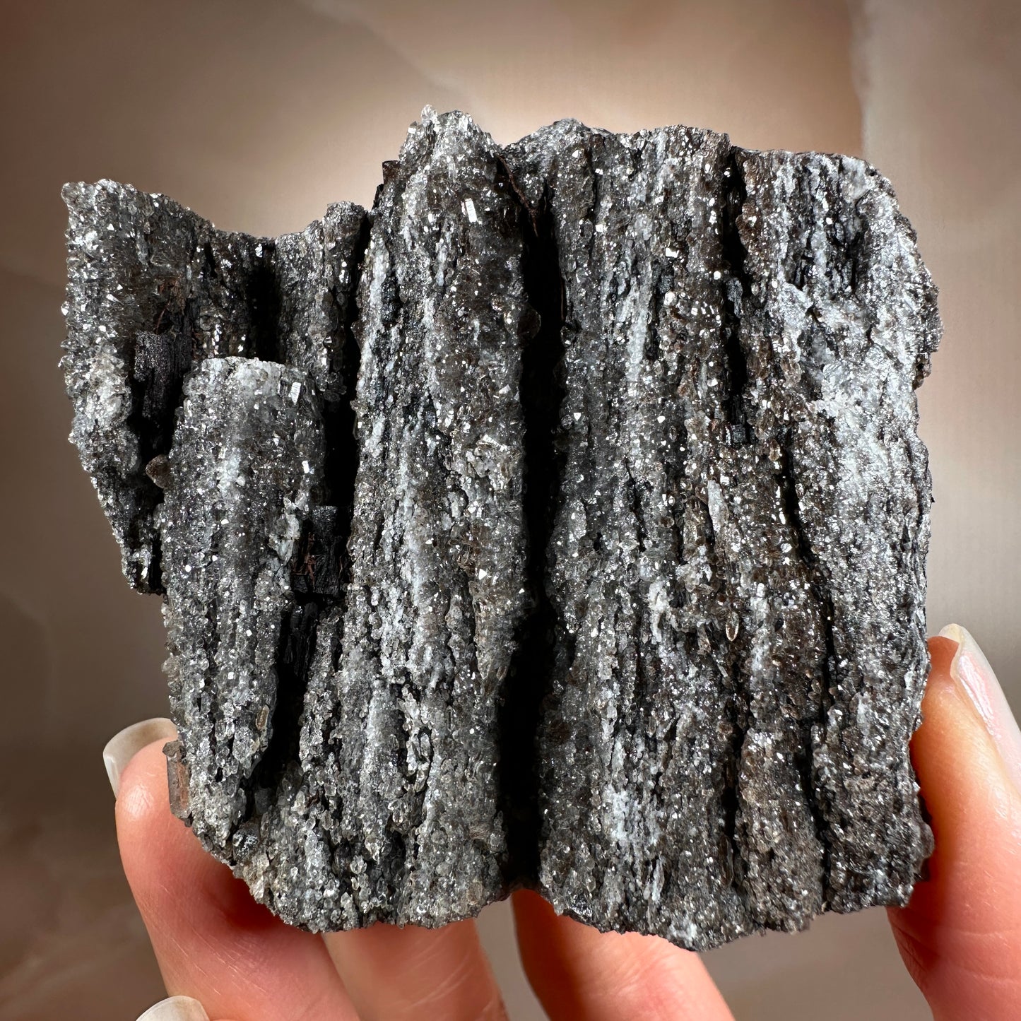 Crystallized Fossil Wood with Smoky Quartz Druzy, 185g | Arizona