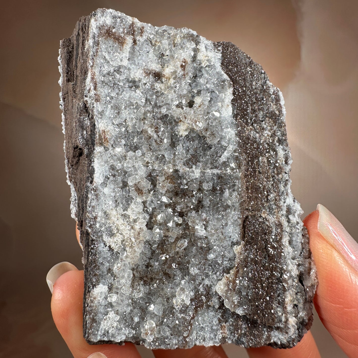 Crystallized Fossil Wood with Silver Smoky Quartz Druzy, 96g | Arizona