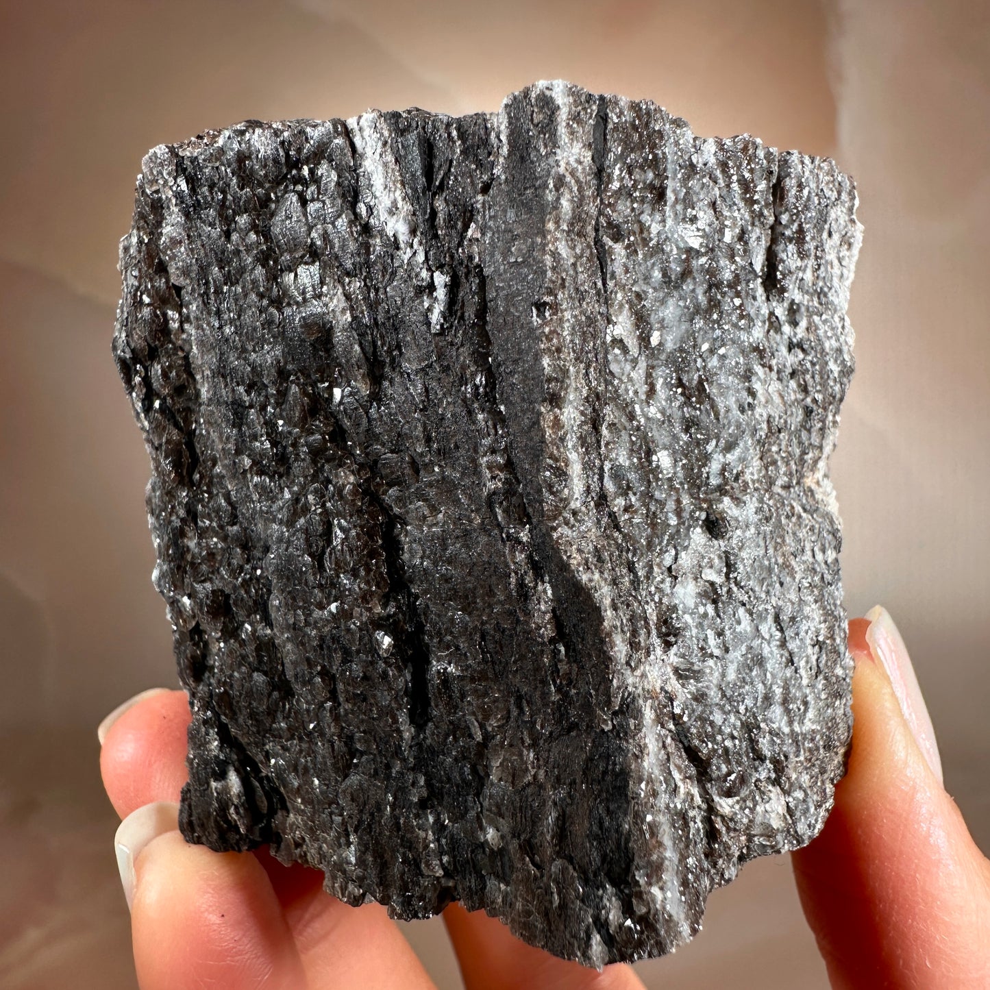 Crystallized Fossil Wood with Smoky Quartz Druzy, 185g | Arizona