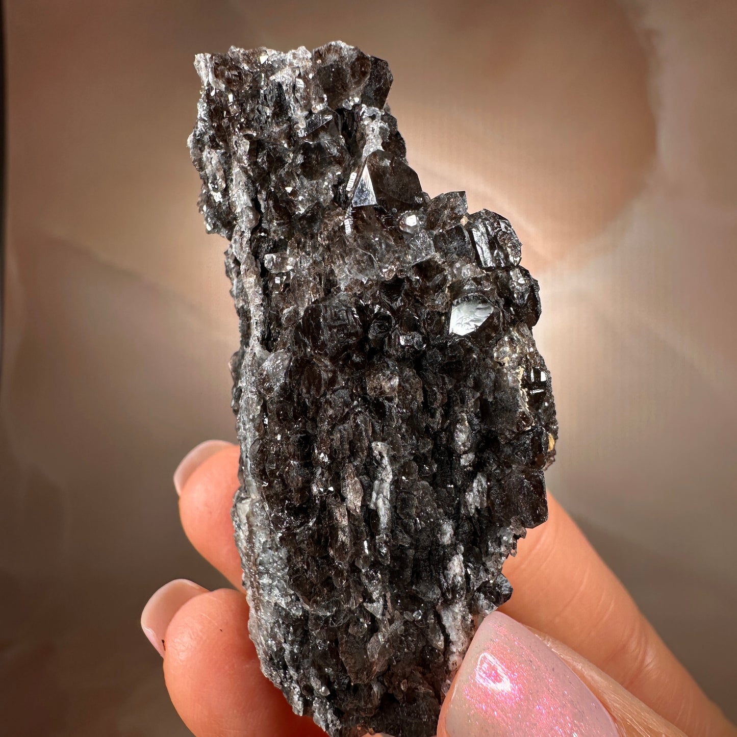 Crystallized Fossil Wood with Smoky Quartz Druzy, 50g — Arizona