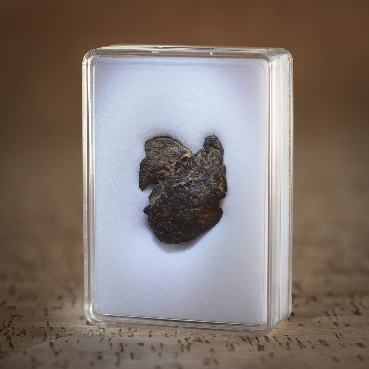 16g Gibeon Meteorite with Desert Patina, Namibia, Africa. Includes Collectors Display Box with COA.