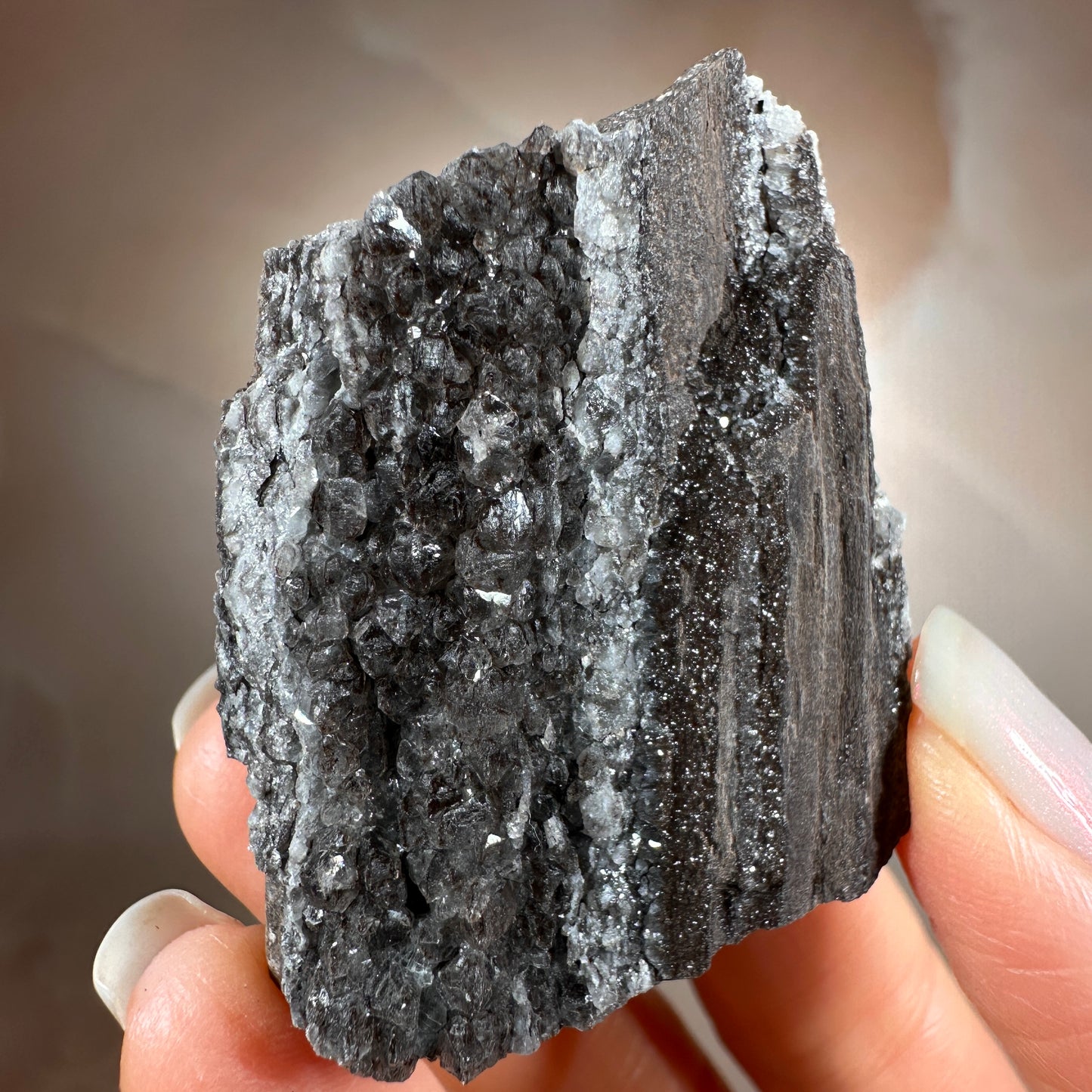 Crystallized Fossil Wood with Smoky Quartz Druzy, 42g | Arizona