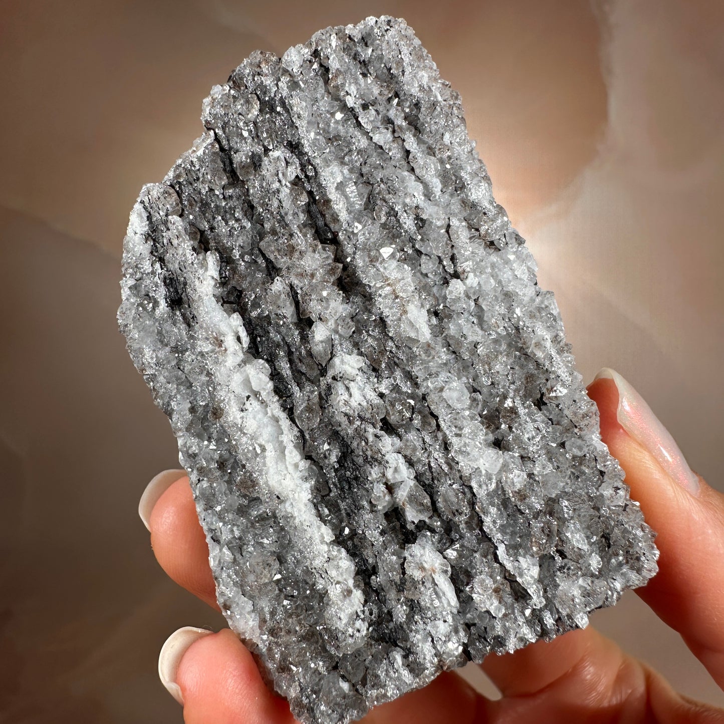 Crystallized Fossil Wood with Silver Smoky Quartz Druzy, 96g | Arizona