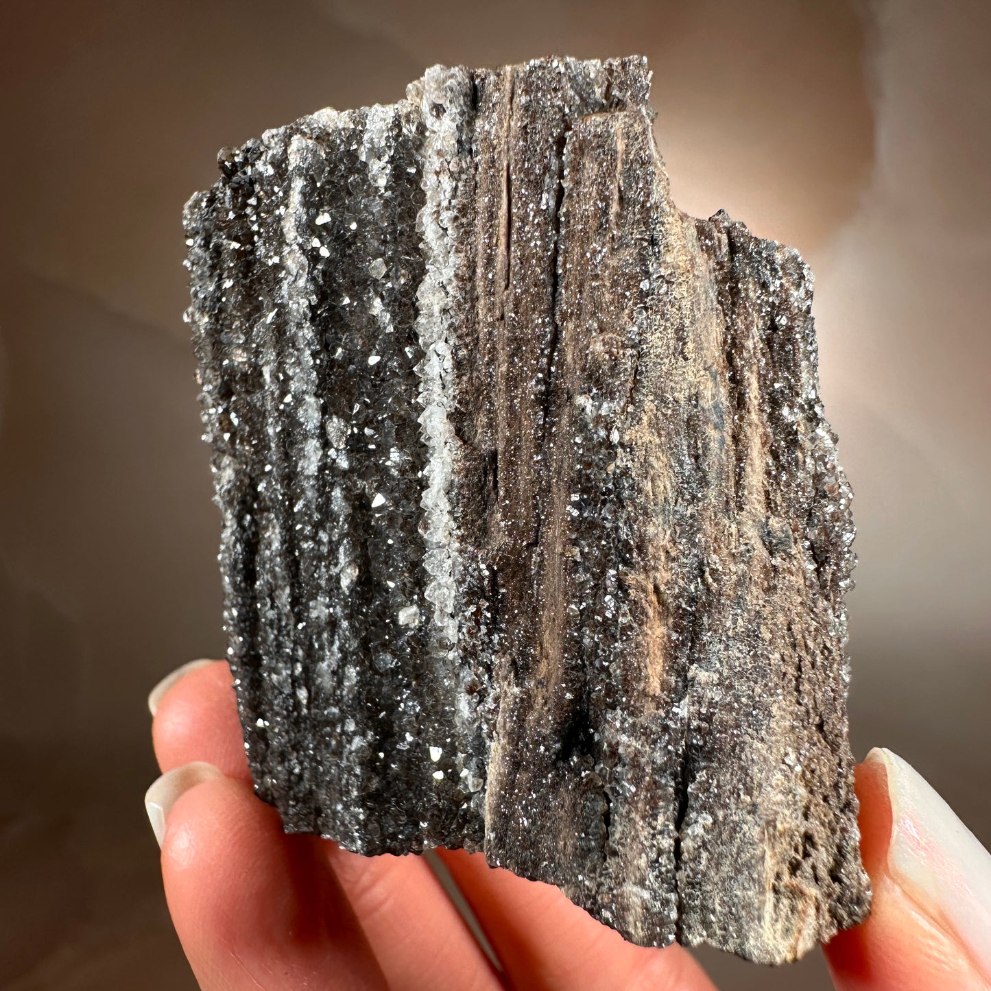 Crystallized Fossil Wood with Smoky Quartz Druzy, 86g | Arizona