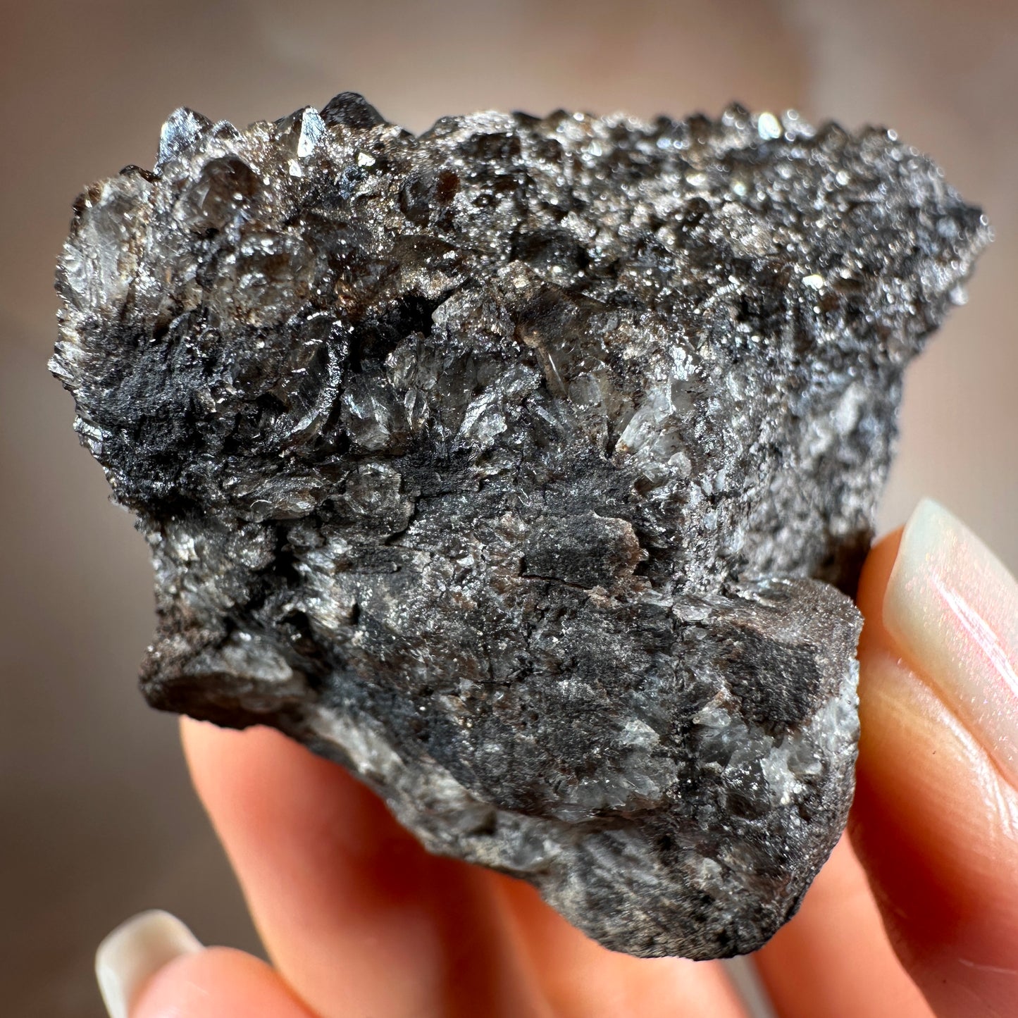 Crystallized Fossil Wood with Smoky Quartz Druzy, 58g | Arizona