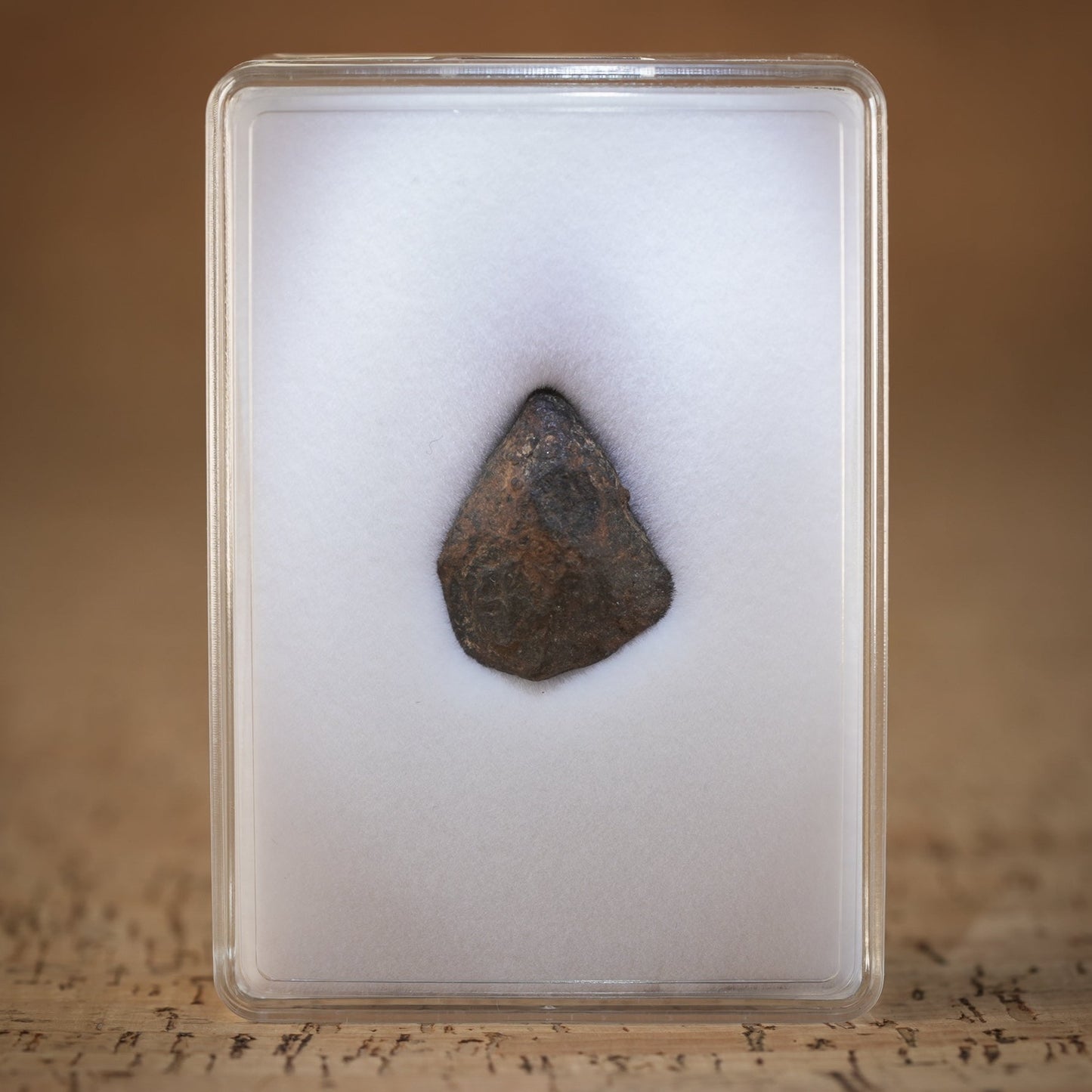 Rare Gibeon Meteorites for sale.