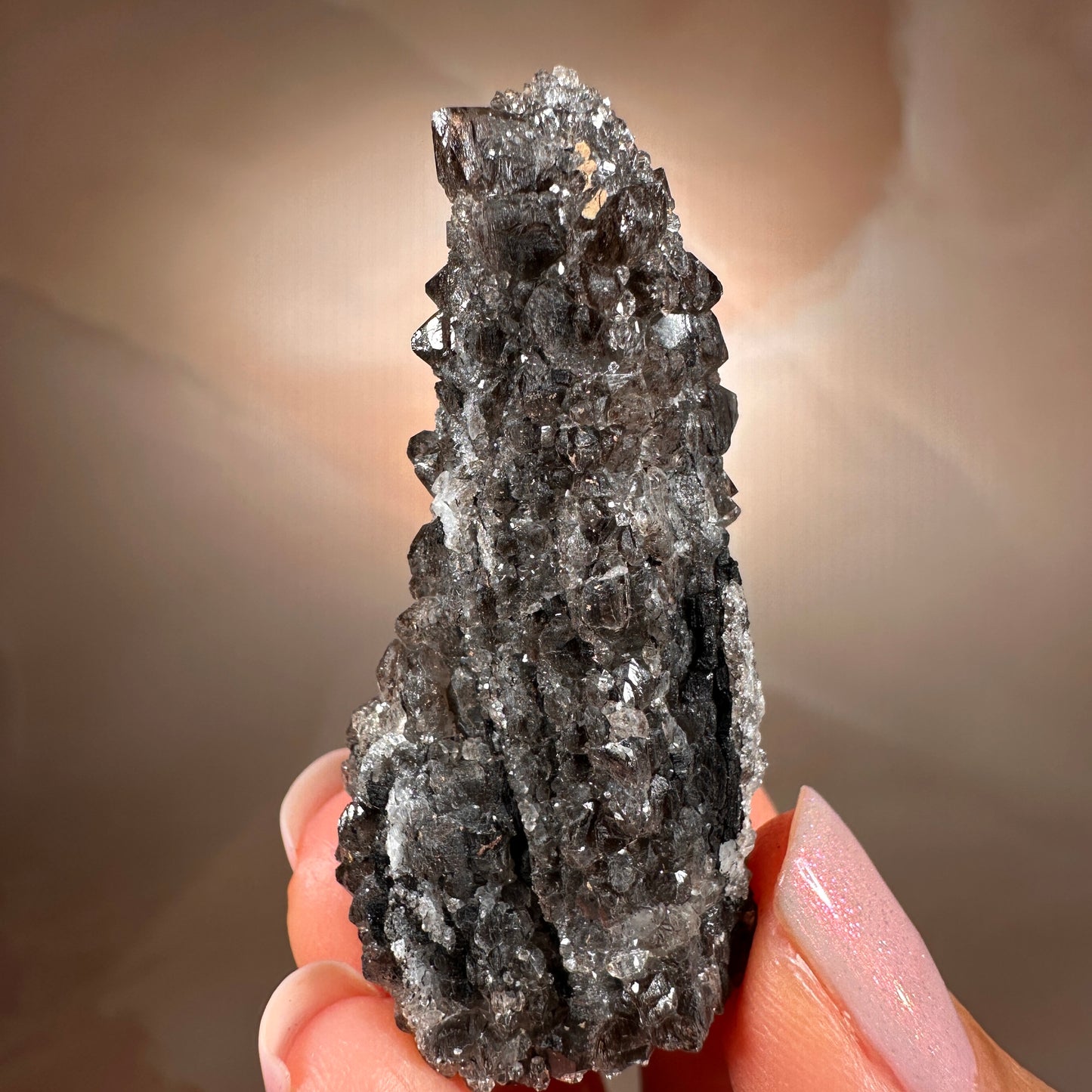 Crystallized Fossil Wood with Smoky Quartz Druzy, 18g — Arizona