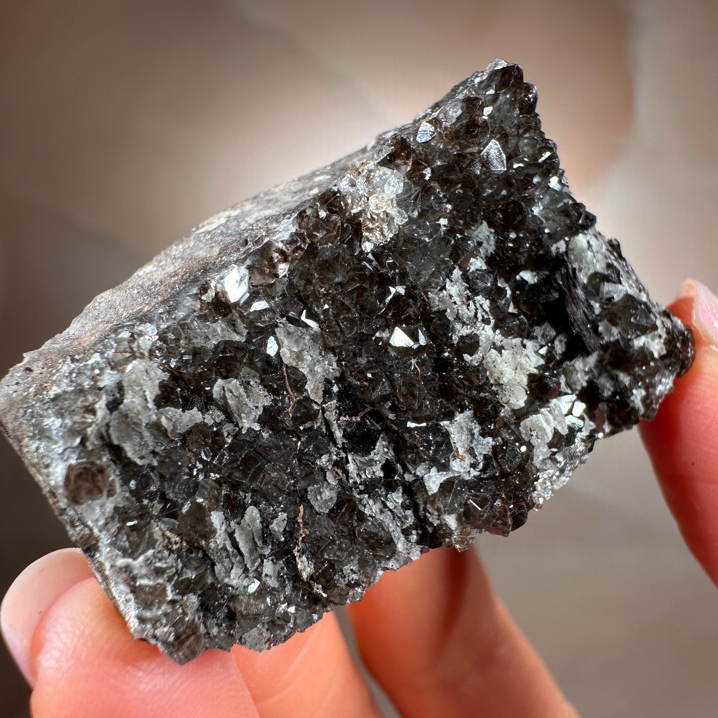 Crystallized Fossil Wood with Smoky Quartz Druzy, 44g — Arizona