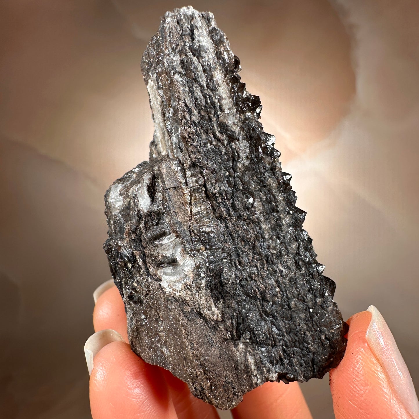 Crystallized Fossil Wood with Smoky Quartz Druzy, 58g | Arizona