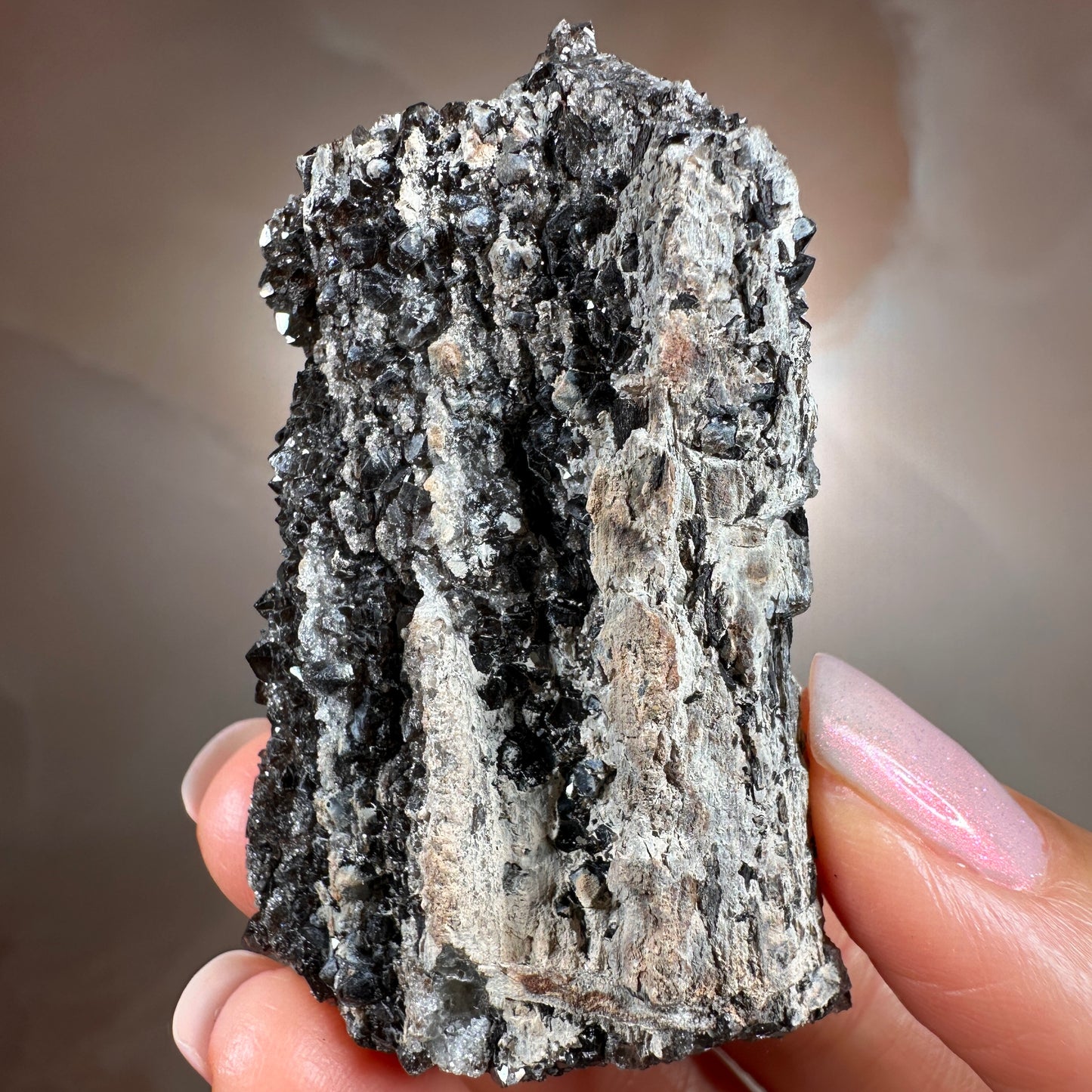 Crystallized Fossil Wood with Smoky Quartz Druzy, 59g — Arizona