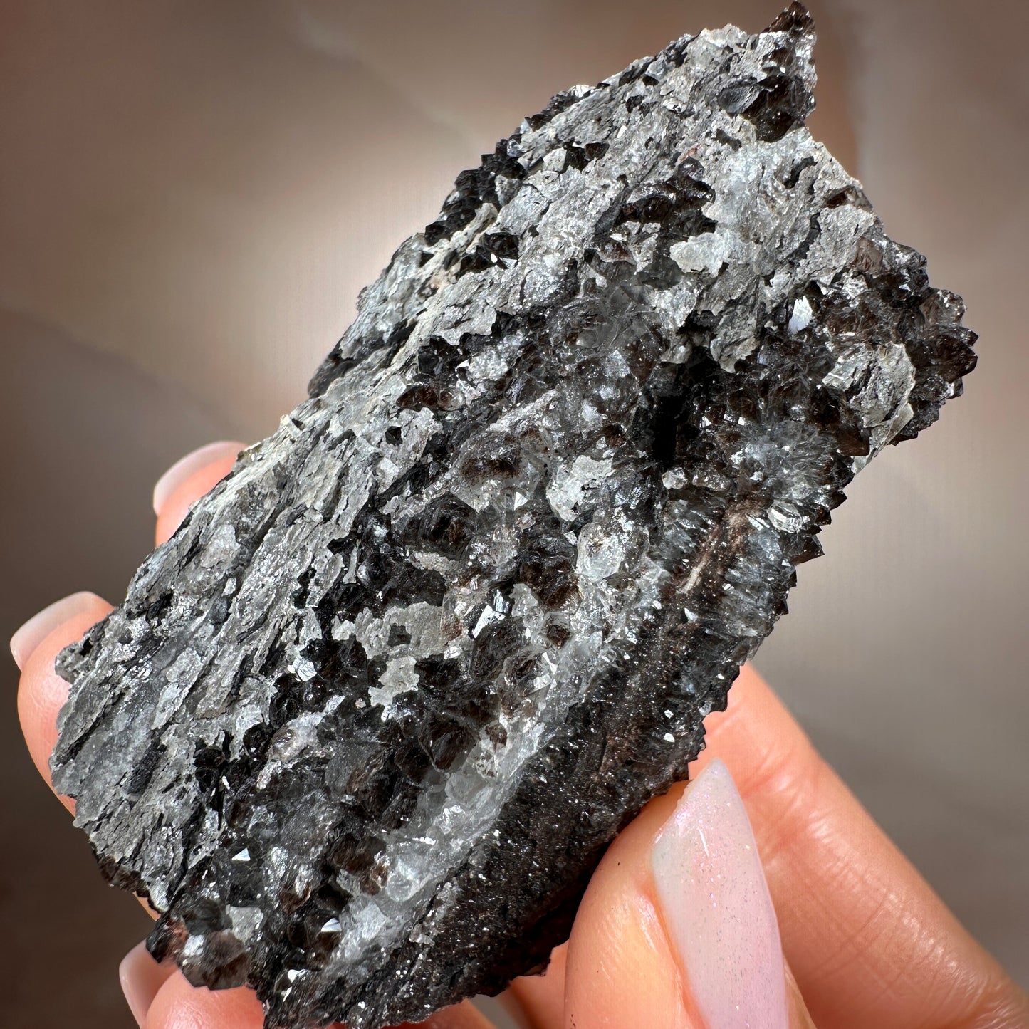 Crystallized Fossil Wood with Smoky Quartz Druzy, 59g — Arizona