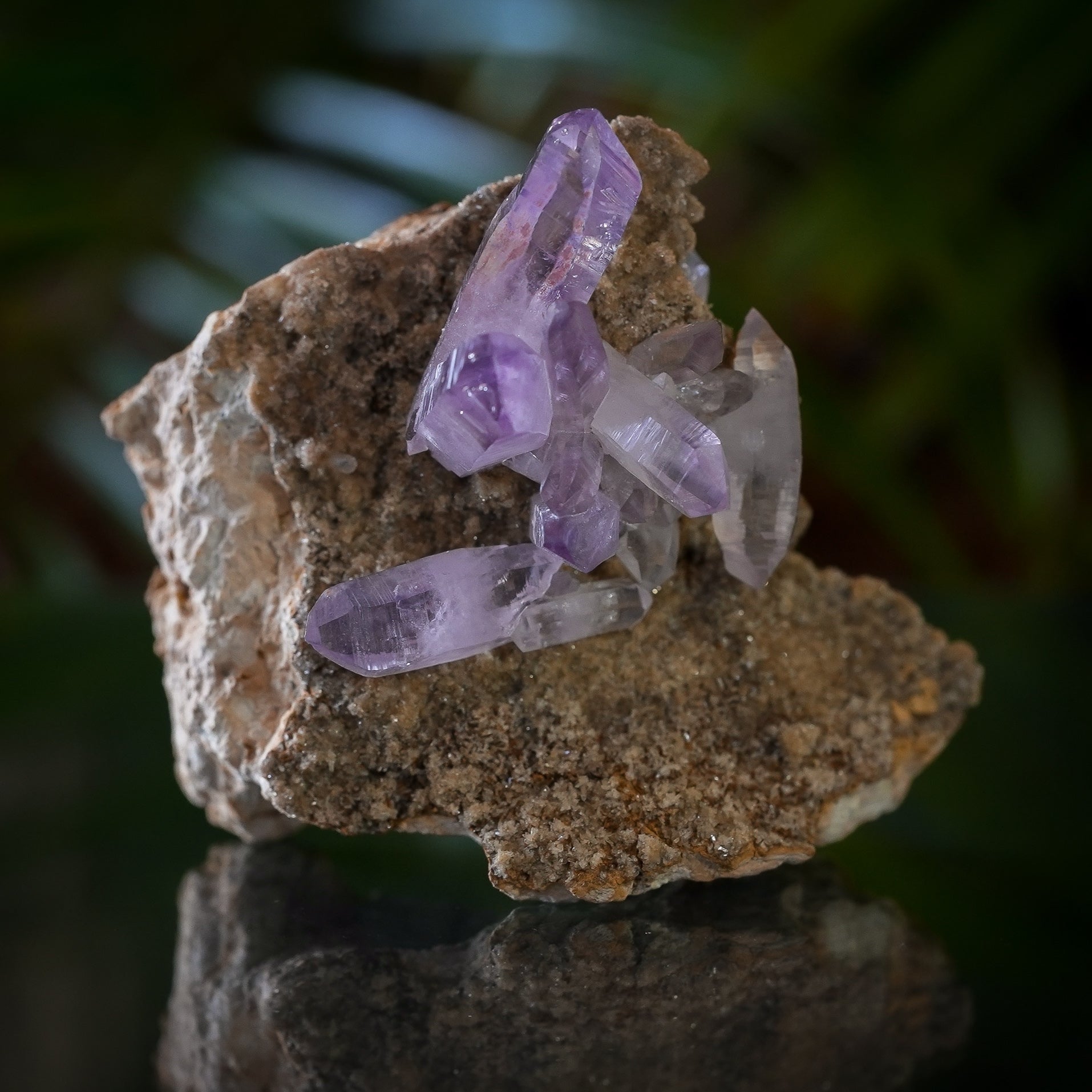 Veracruz Amethyst