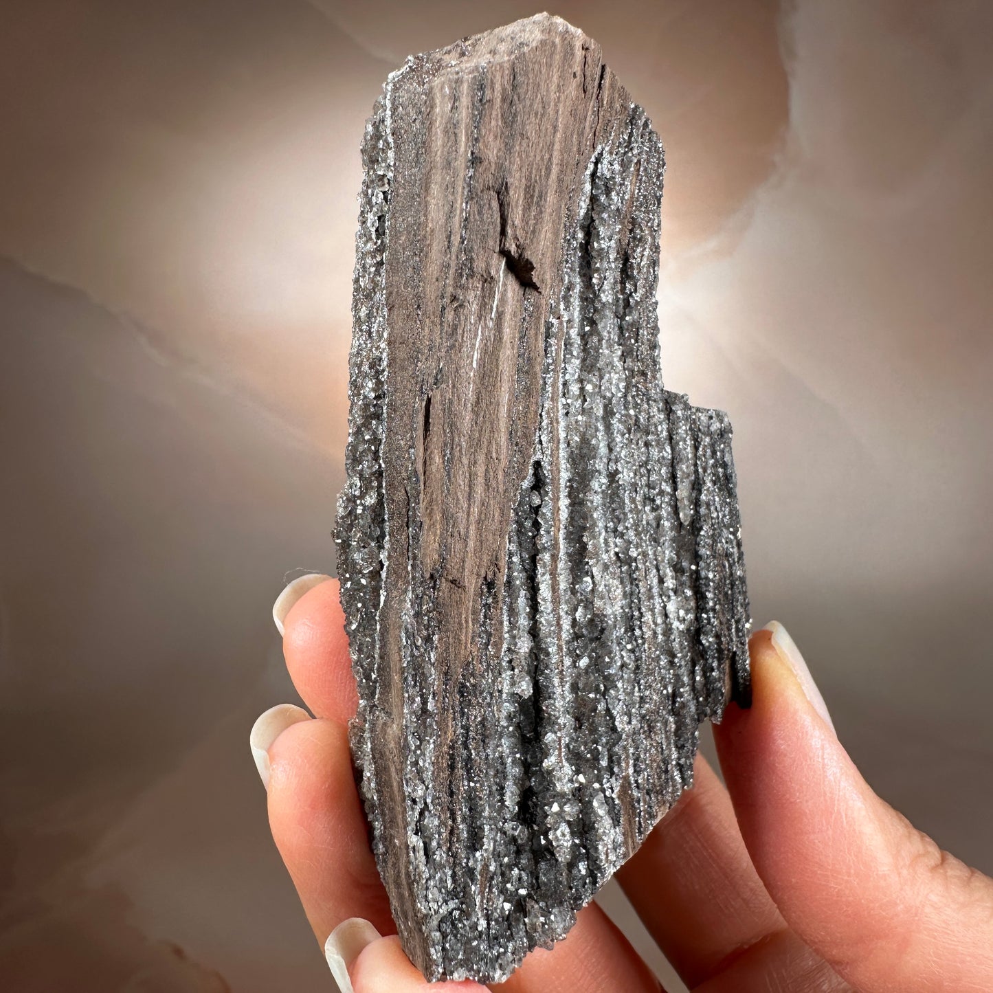 Crystallized Fossil Wood with Smoky Quartz Druzy, 115g | Arizona