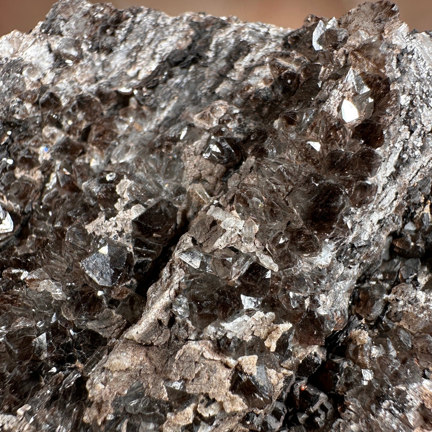 Crystallized Fossil Wood with Smoky Quartz Druzy, 347g — Arizona