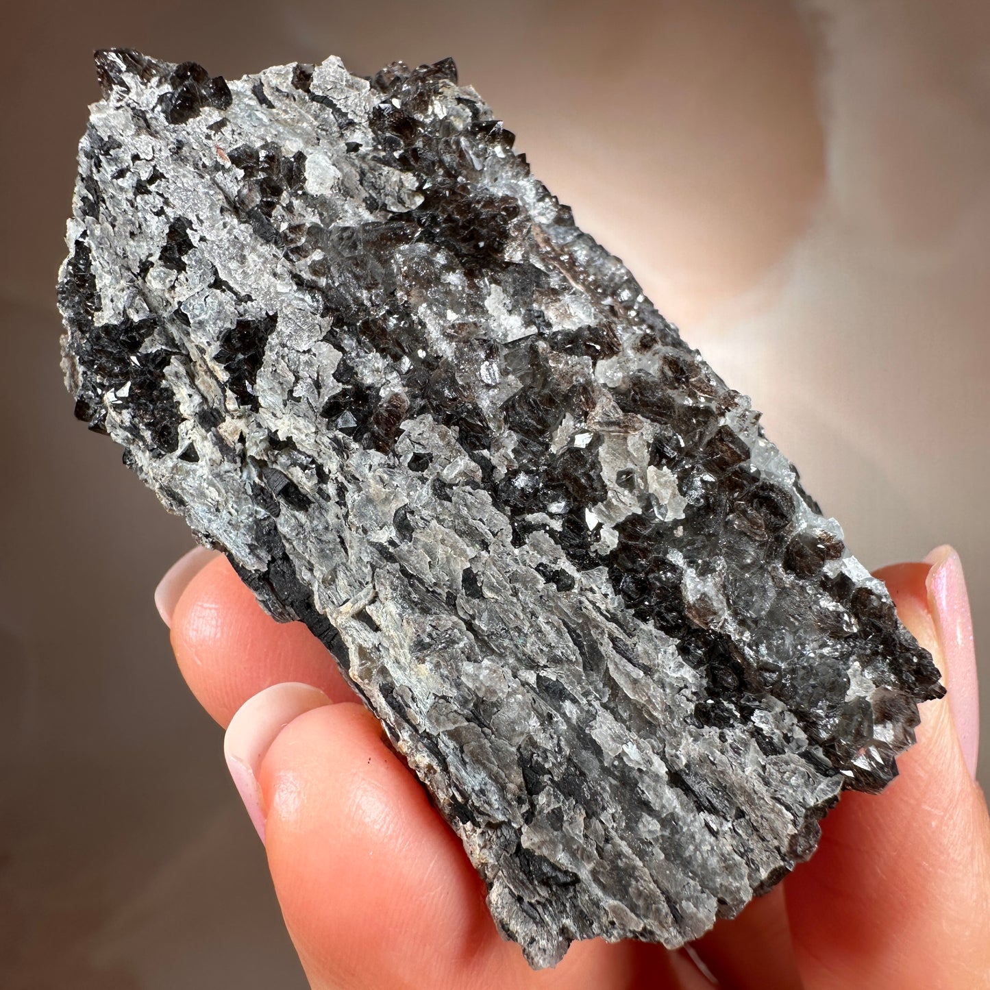 Crystallized Fossil Wood with Smoky Quartz Druzy, 59g — Arizona