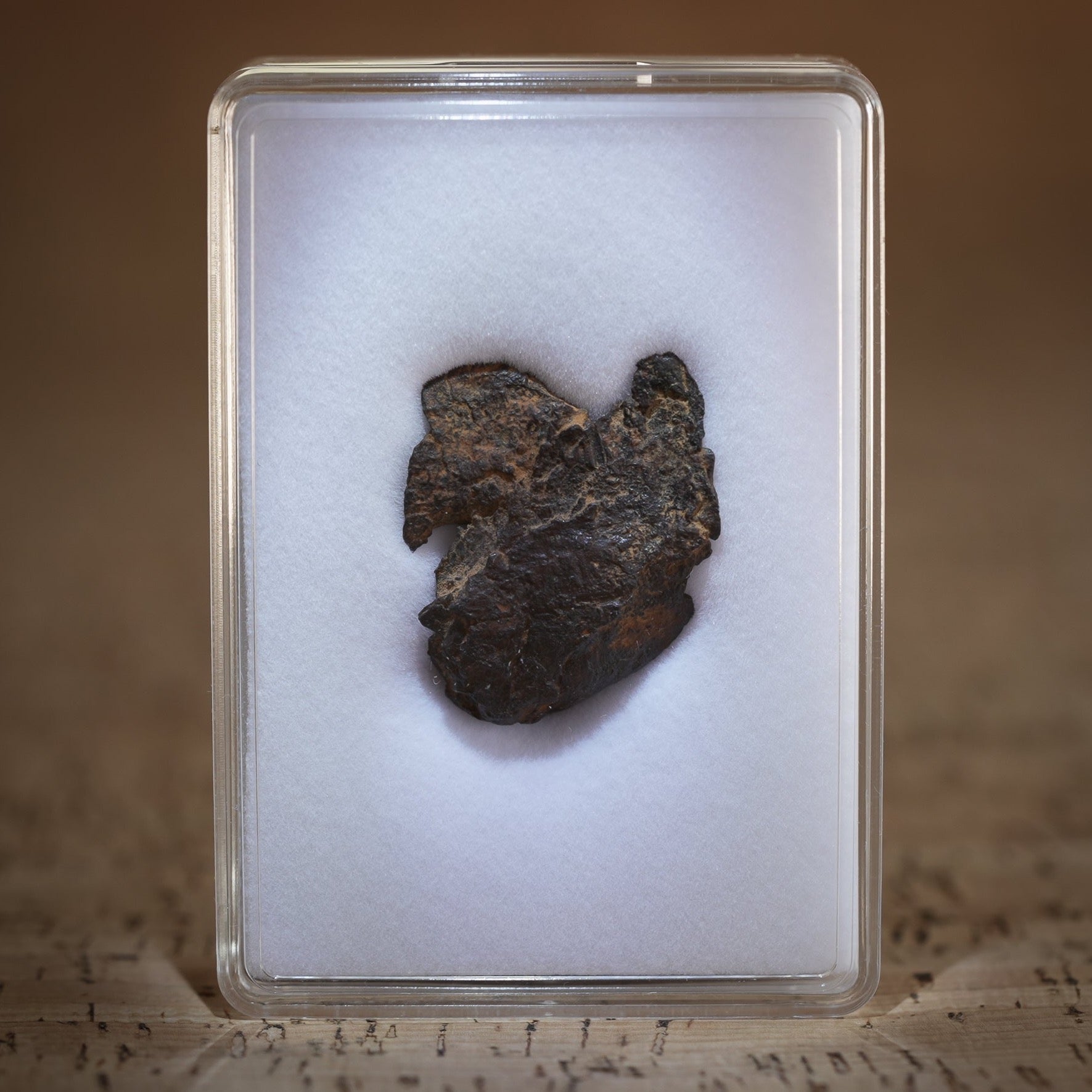 Gibeon Meteorite for sale