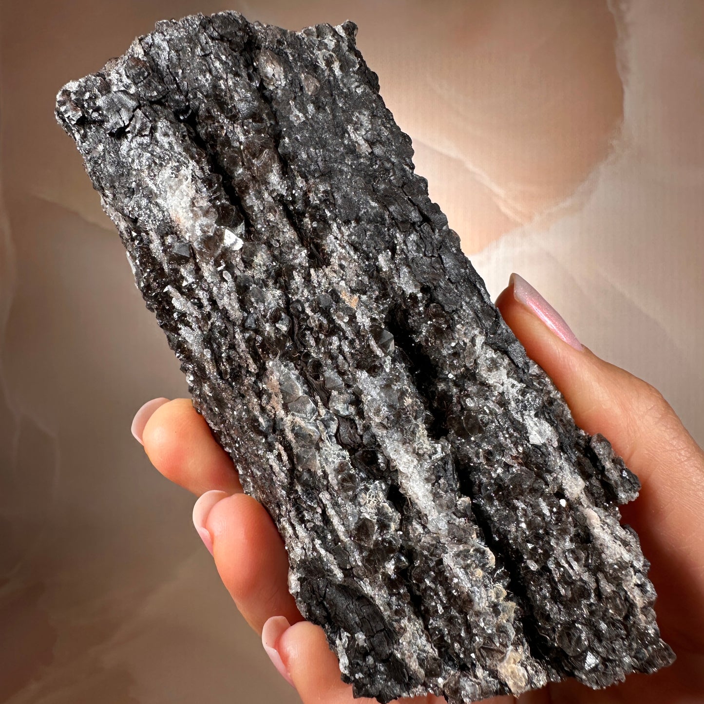 Crystallized Fossil Wood with Smoky Quartz Druzy, 268g — Arizona