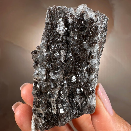 Crystallized Fossil Wood with Smoky Quartz Druzy, 117g — Arizona