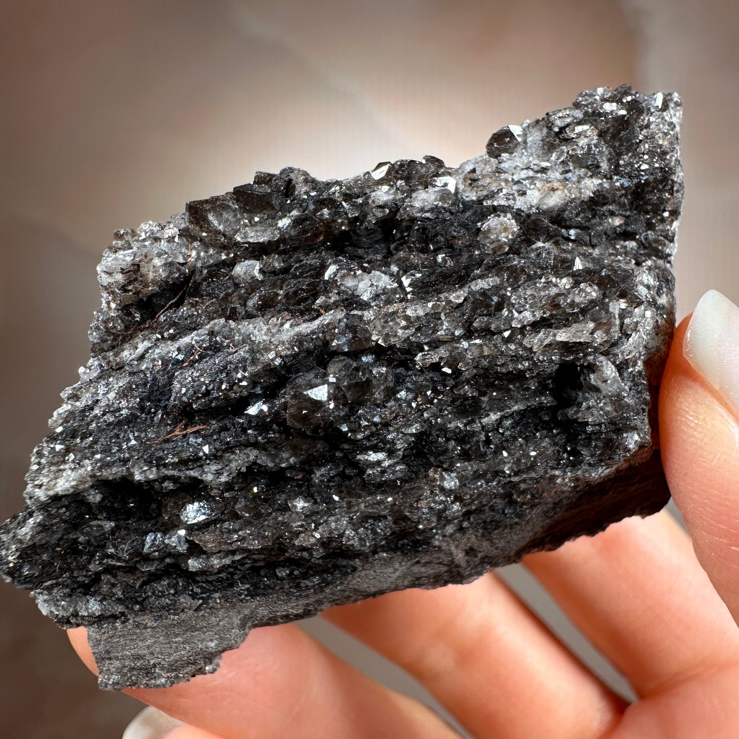 Crystallized Fossil Wood with Smoky Quartz Druzy, 85g | Arizona