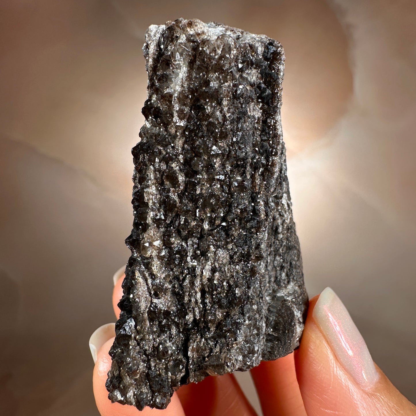 Crystallized Fossil Wood with Smoky Quartz Druzy, 58g | Arizona