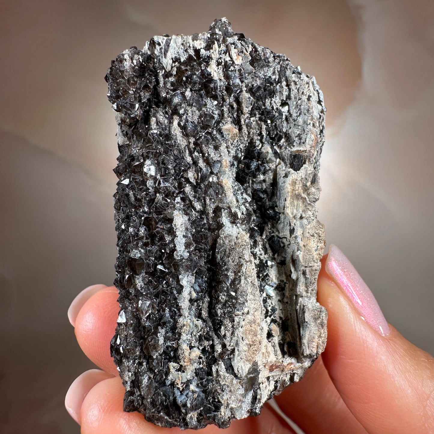 Crystallized Fossil Wood with Smoky Quartz Druzy, 59g — Arizona