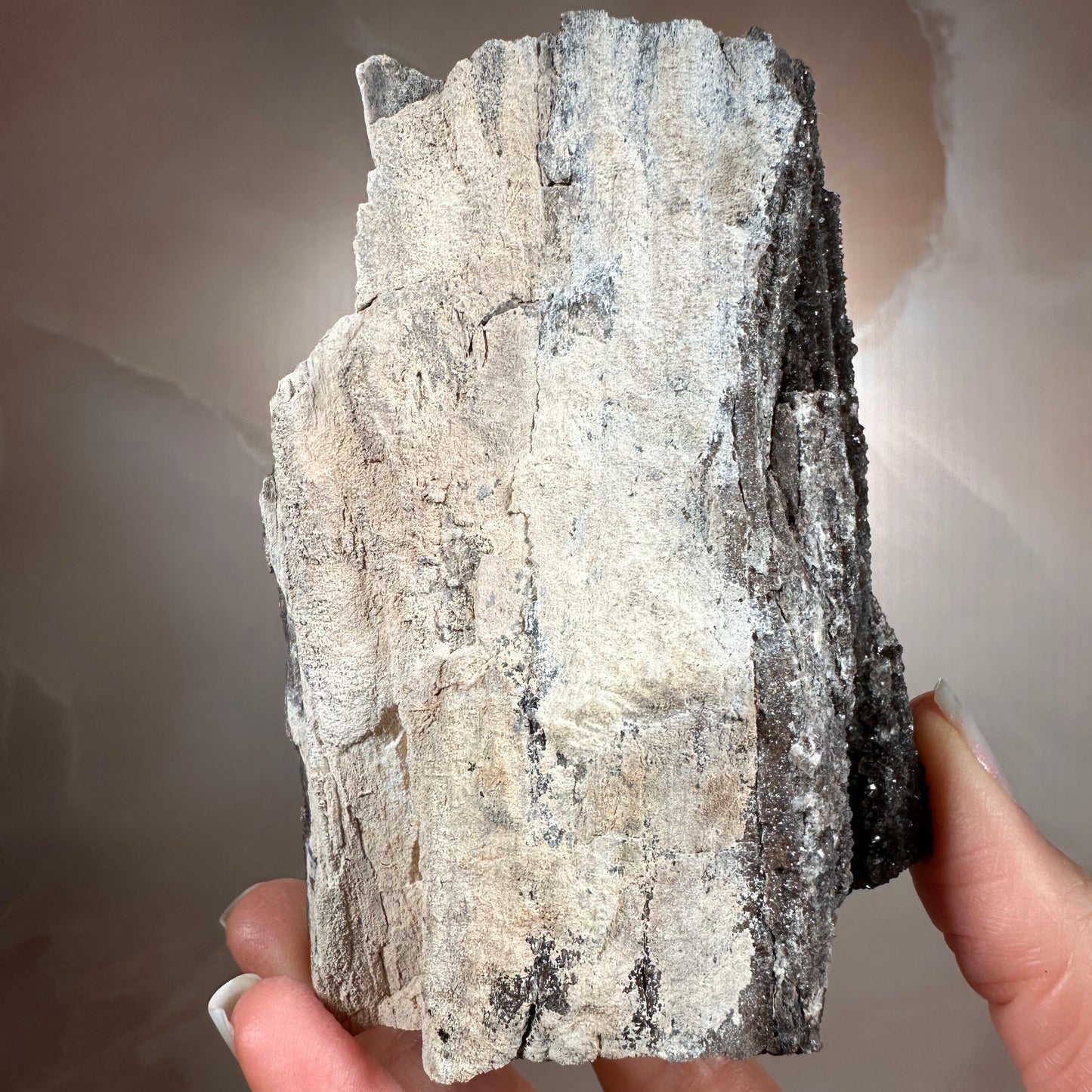 Crystallized Fossil Wood with Smoky Quartz Druzy, 335g | Arizona