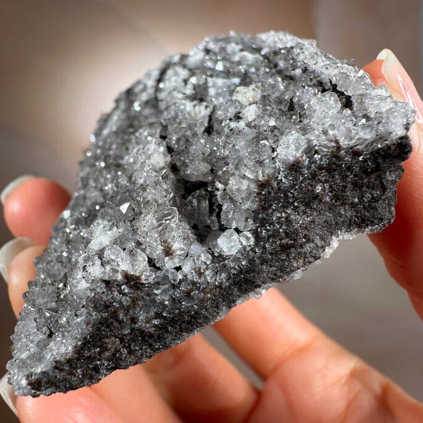 Crystallized Fossil Wood with Silver Smoky Quartz Druzy, 104g | Arizona