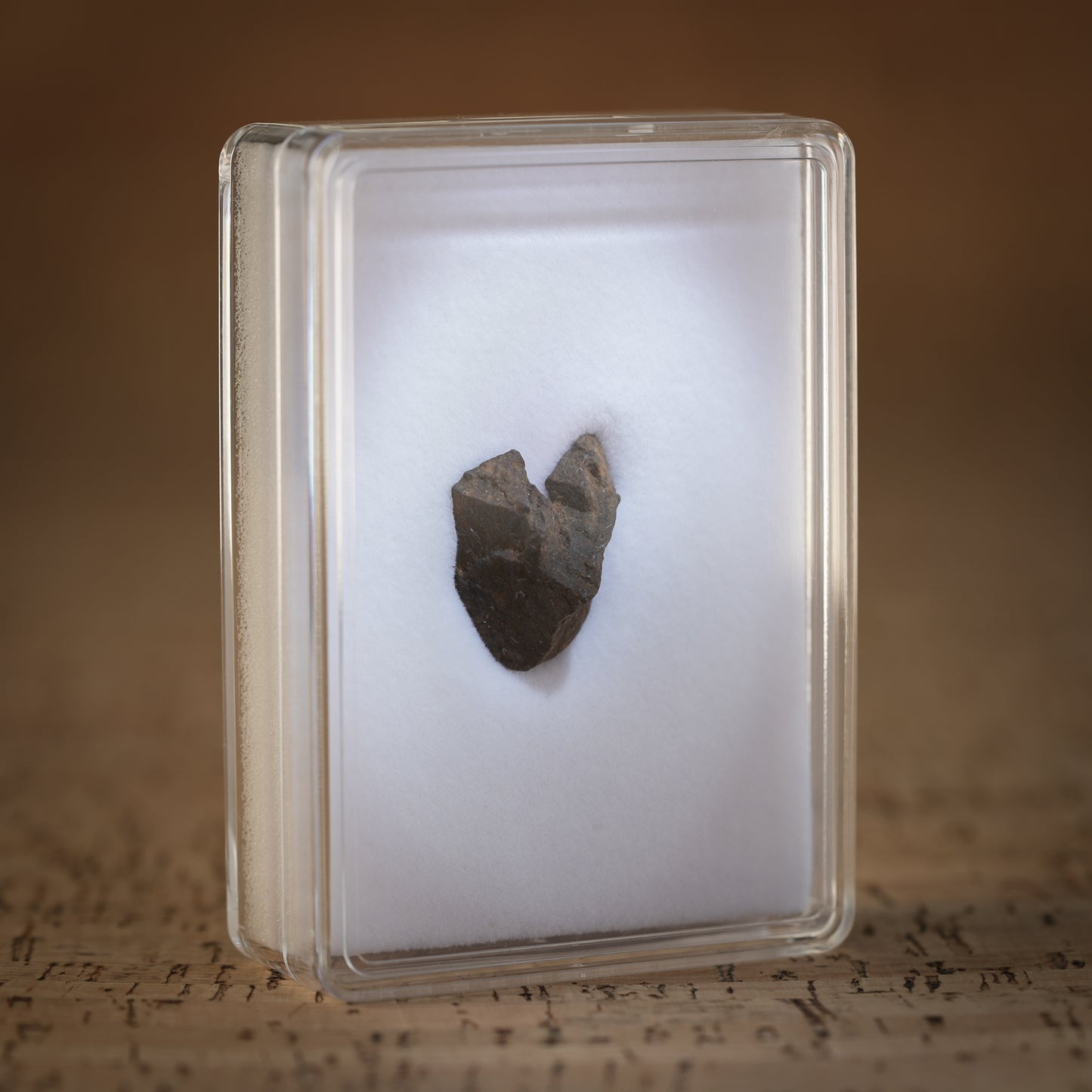 9.3g Gibeon Meteorite with Desert Patina, Namibia, Africa. Includes Collectors Display Box with COA.