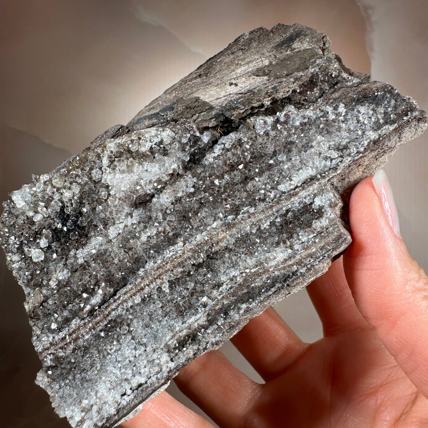 Crystallized Fossil Wood with Smoky Quartz Druzy, 335g | Arizona