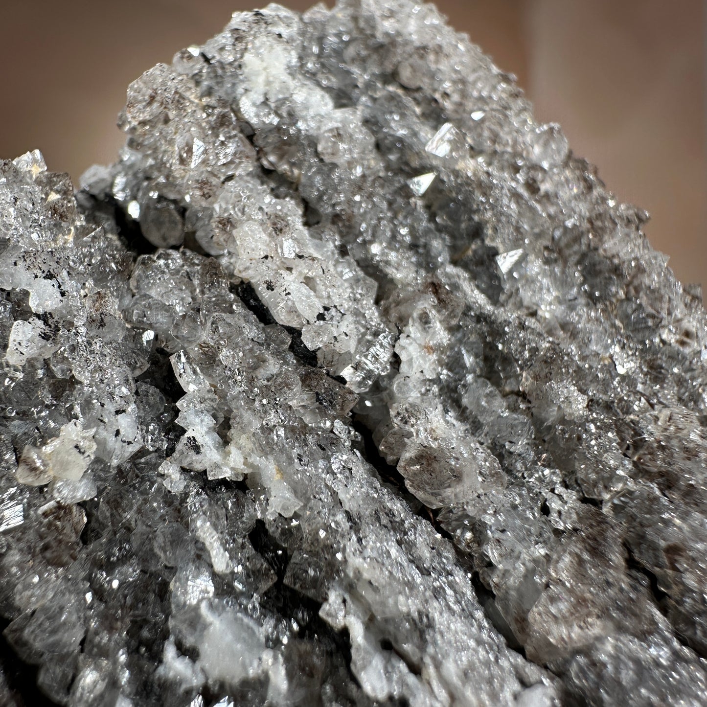 Crystallized Fossil Wood with Silver Smoky Quartz Druzy, 104g | Arizona