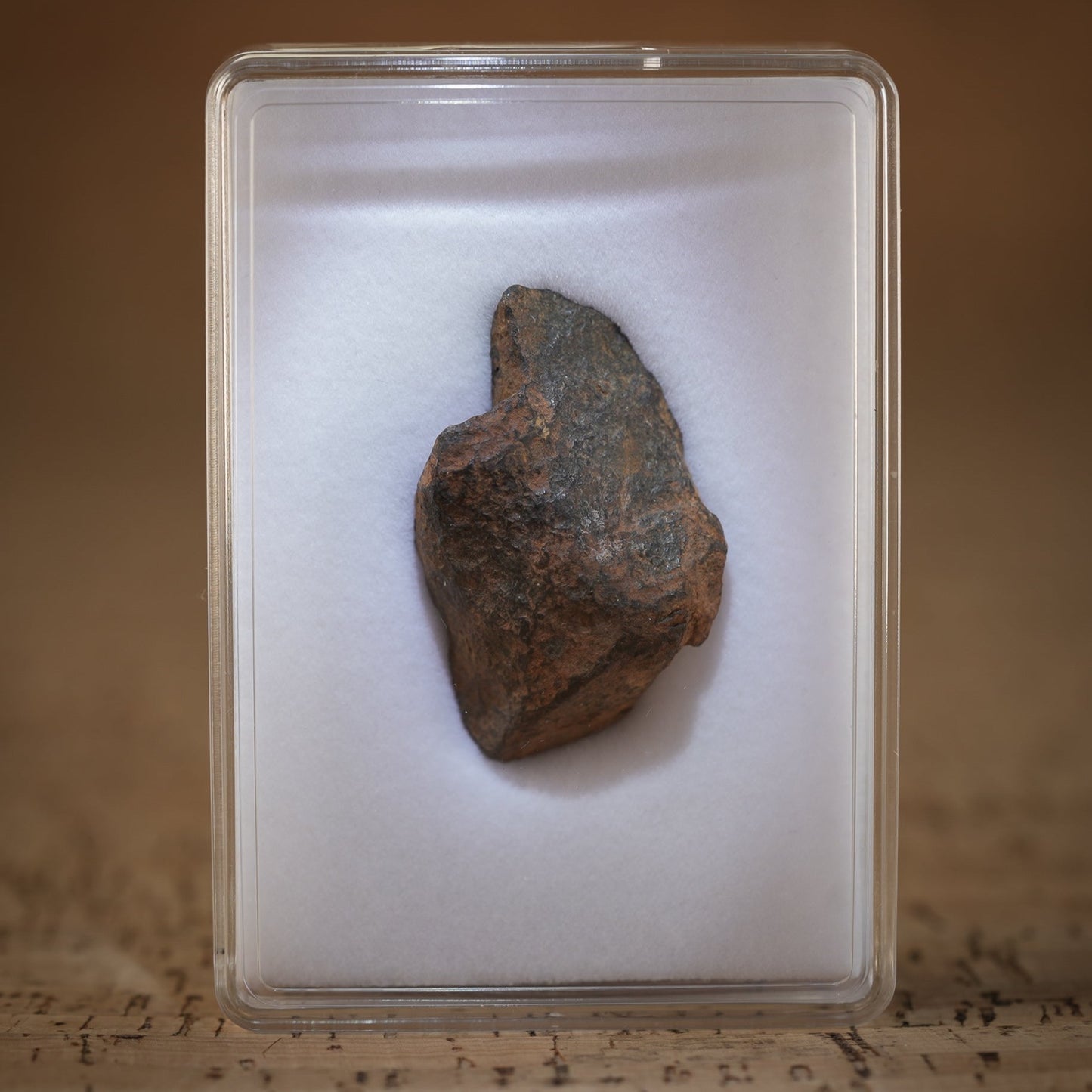 Gibeon Meteorite for sale.