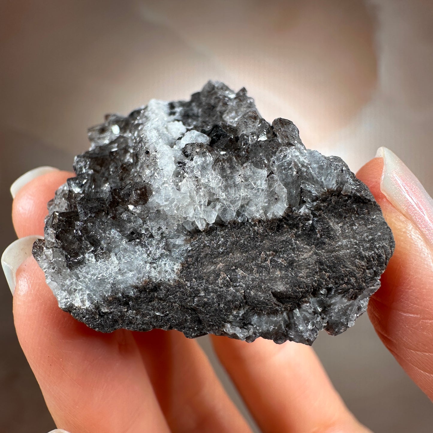 Crystallized Fossil Wood with Smoky Quartz Druzy, 42g | Arizona