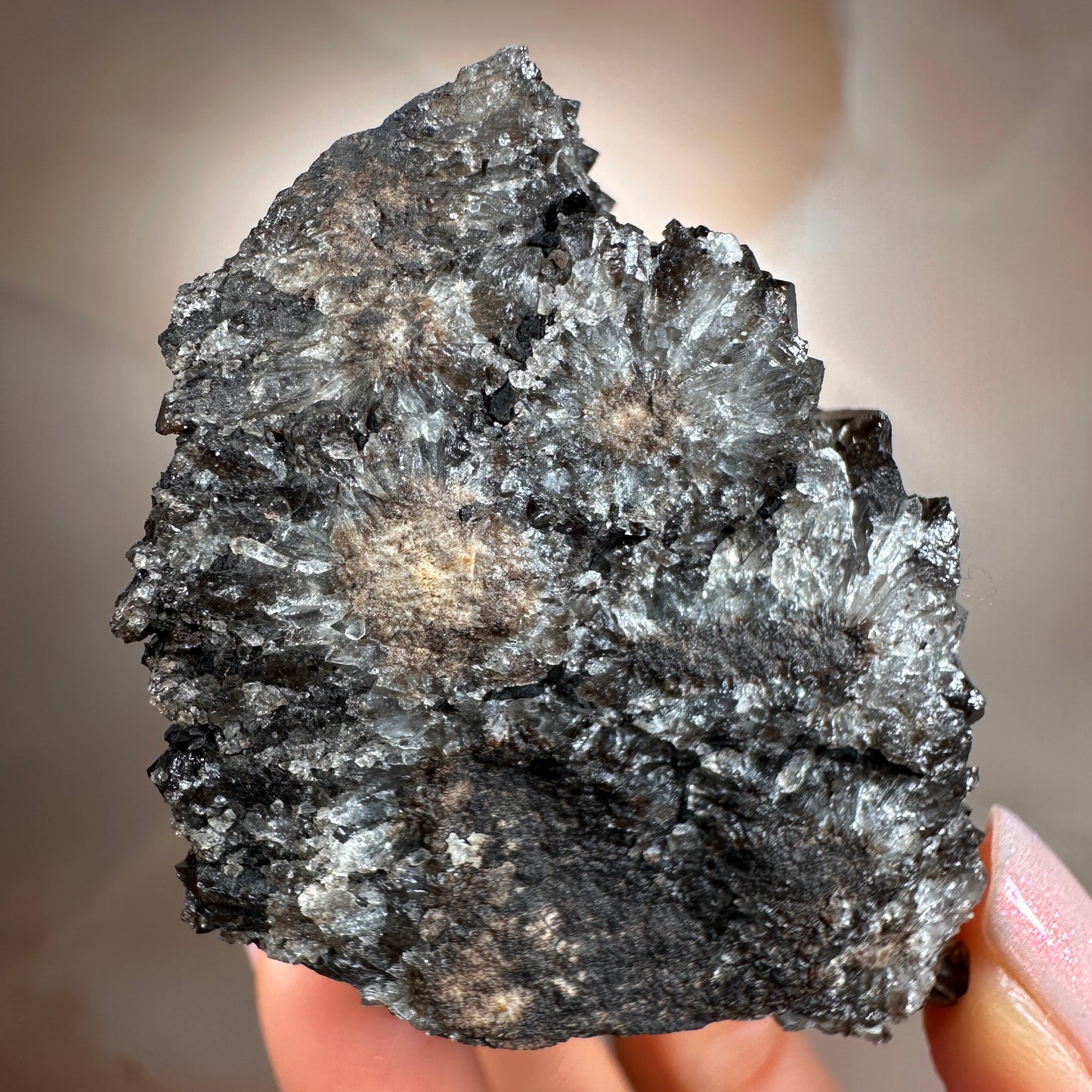 Crystallized Fossil Wood with Smoky Quartz Druzy, 137g — Arizona